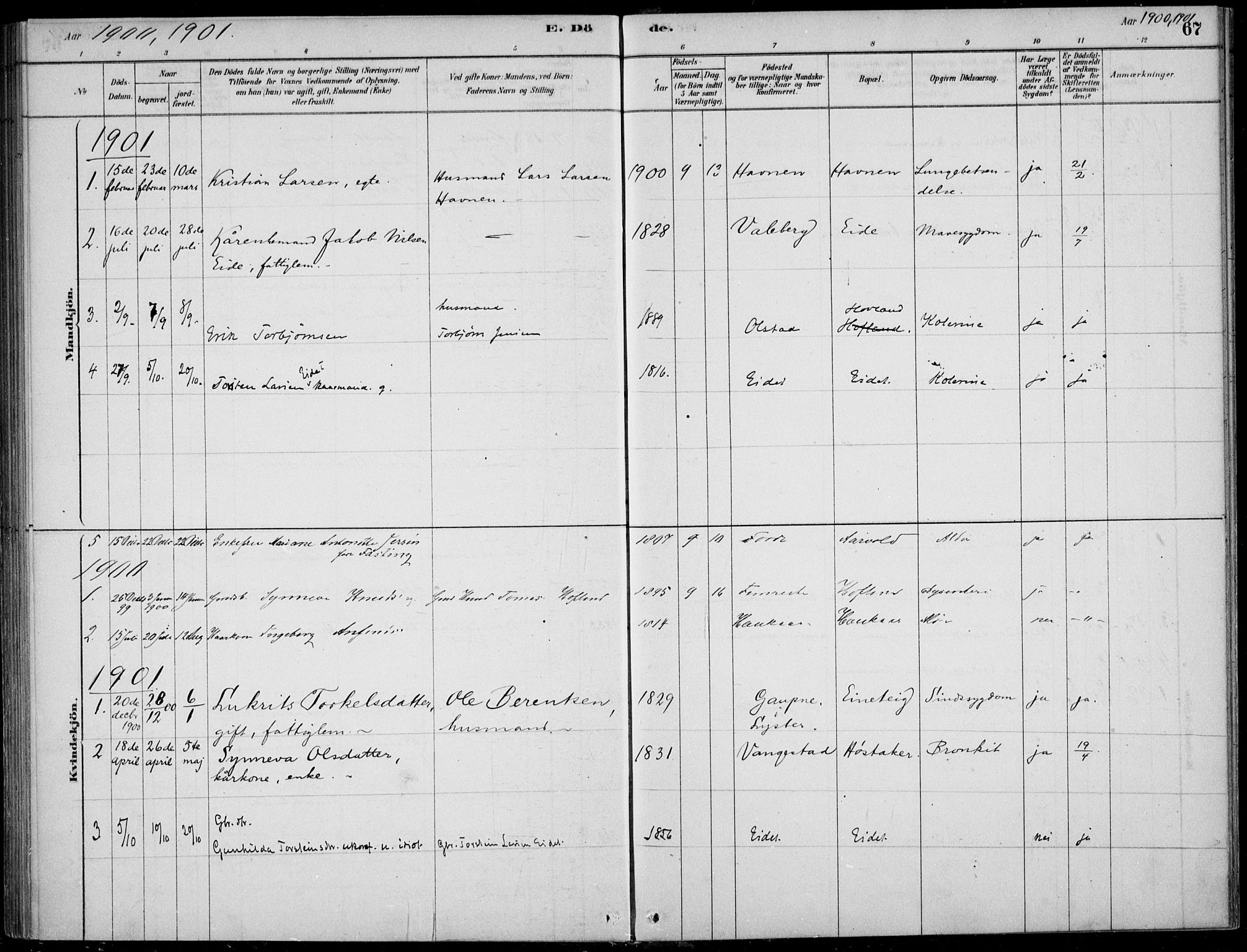 Sogndal sokneprestembete, SAB/A-81301/H/Haa/Haad/L0001: Parish register (official) no. D  1, 1878-1907, p. 67