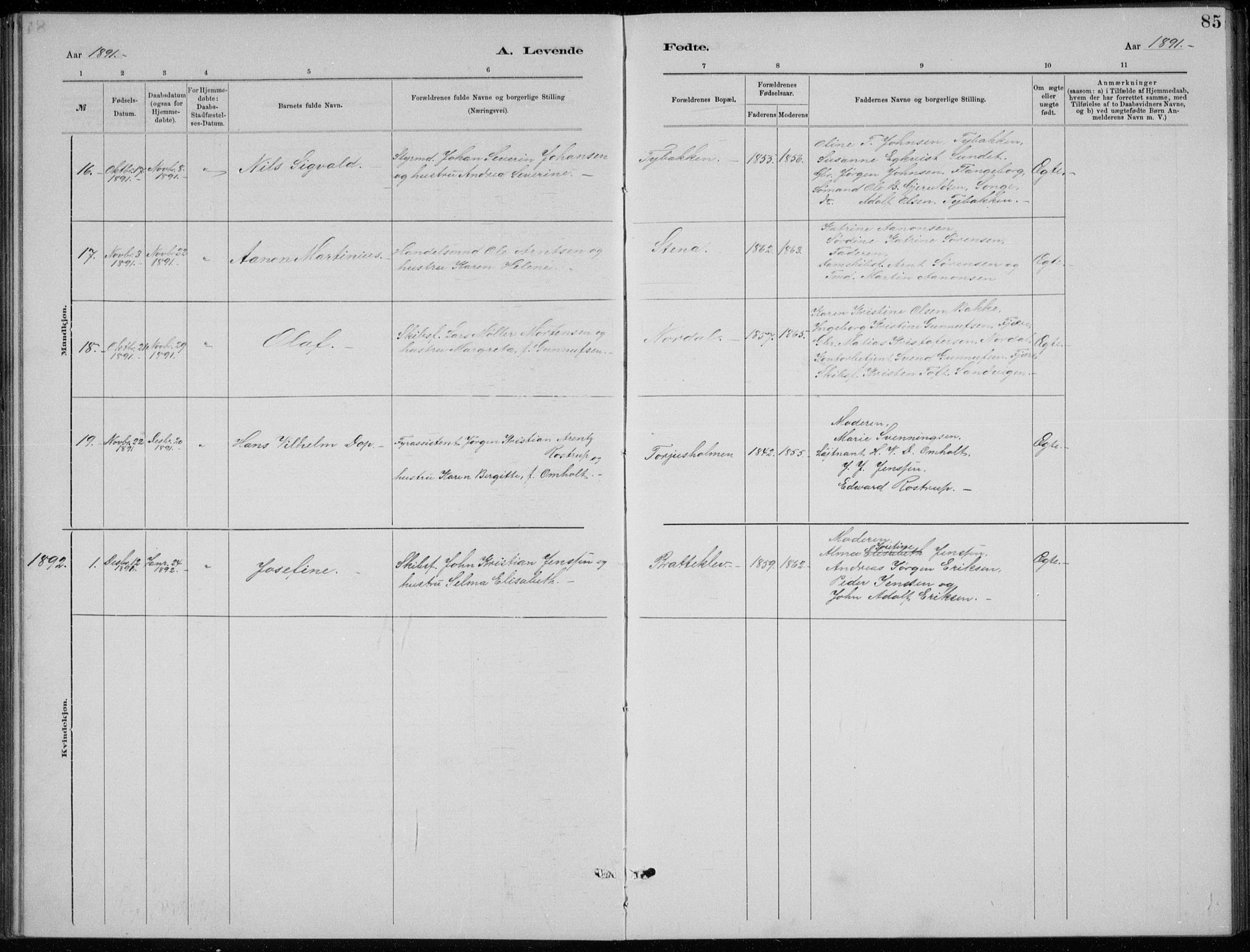 Tromøy sokneprestkontor, SAK/1111-0041/F/Fb/L0005: Parish register (copy) no. B 5, 1877-1891, p. 85