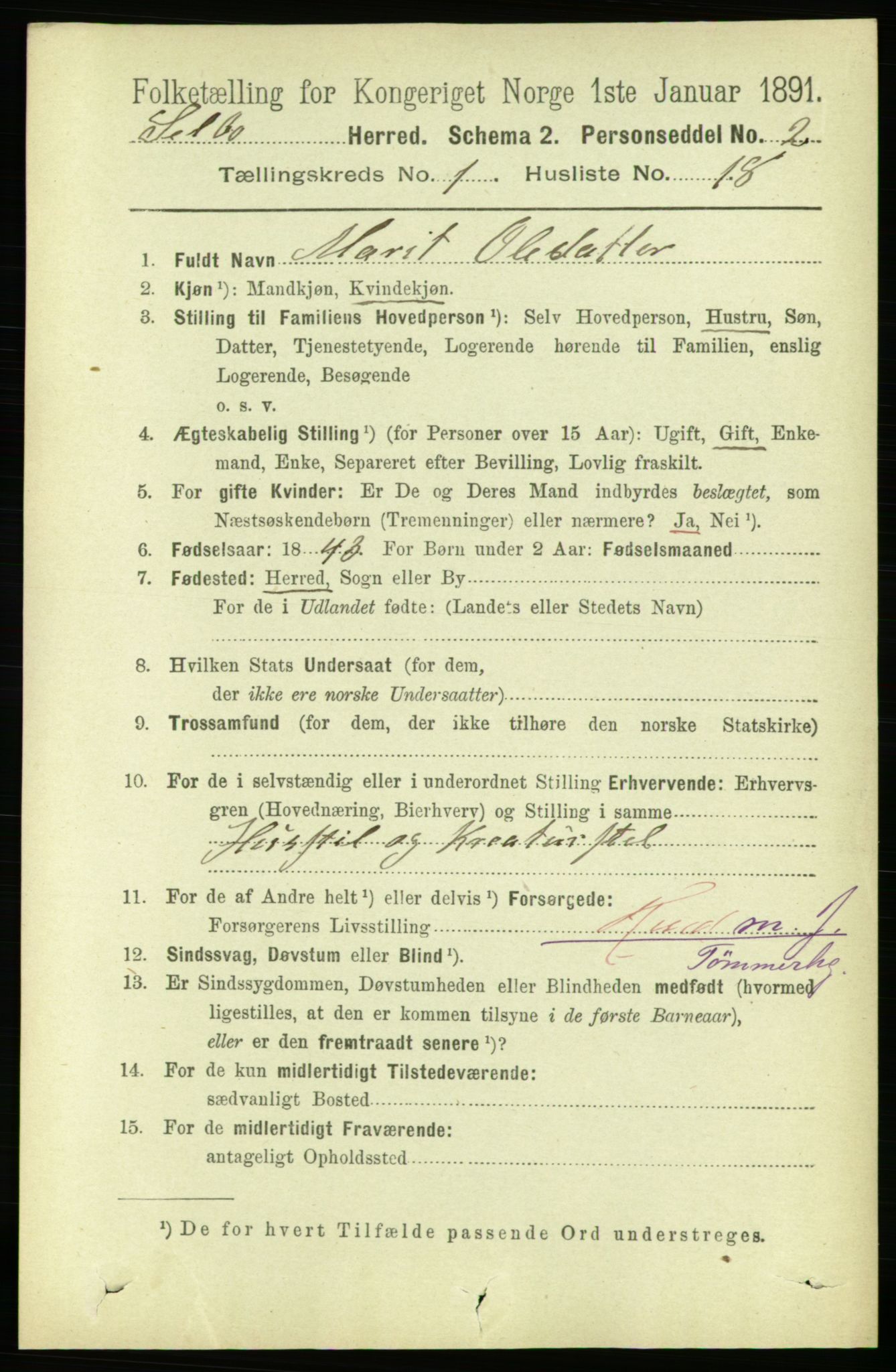 RA, 1891 census for 1664 Selbu, 1891, p. 203