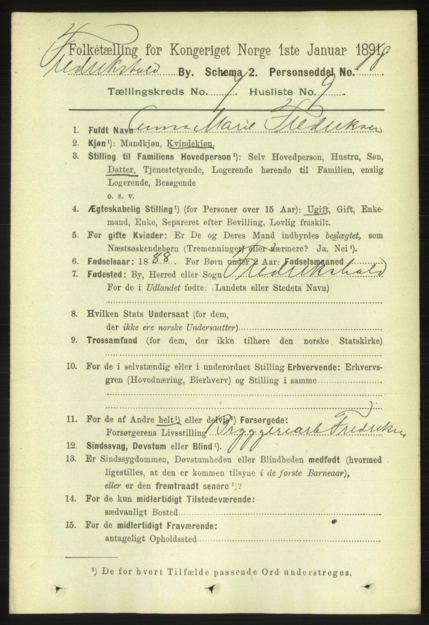RA, 1891 census for 0101 Fredrikshald, 1891, p. 5113