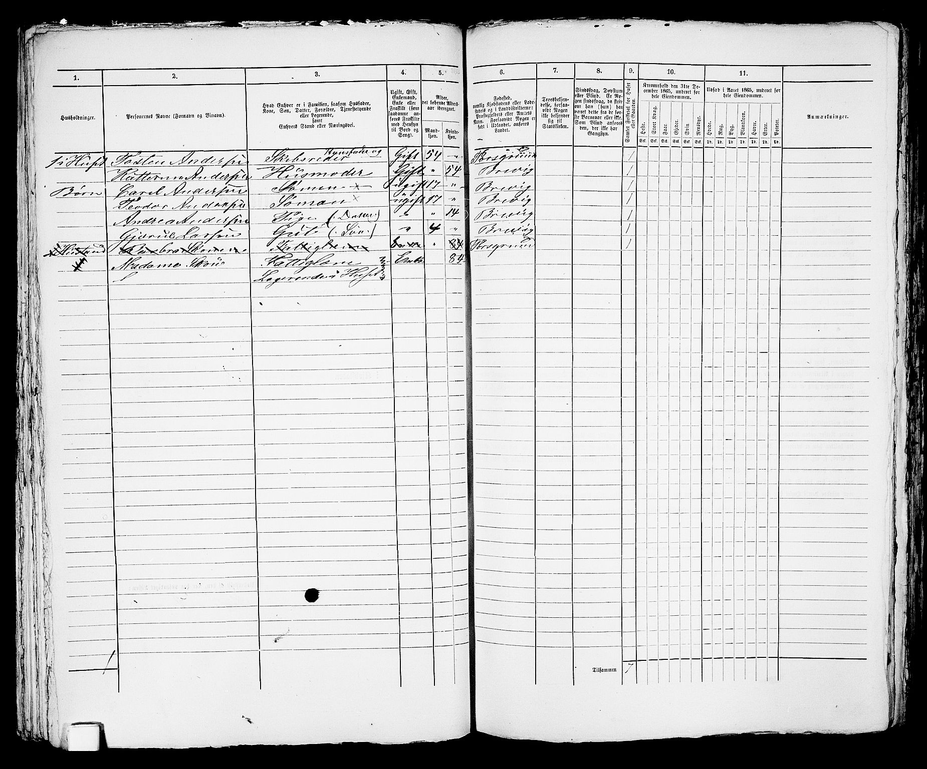 RA, 1865 census for Brevik, 1865, p. 462