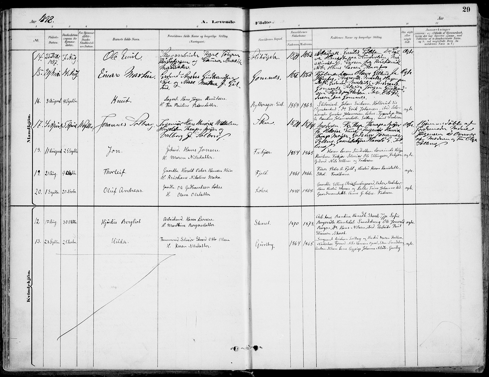 Hole kirkebøker, SAKO/A-228/F/Fa/L0009: Parish register (official) no. I 9, 1892-1907, p. 29