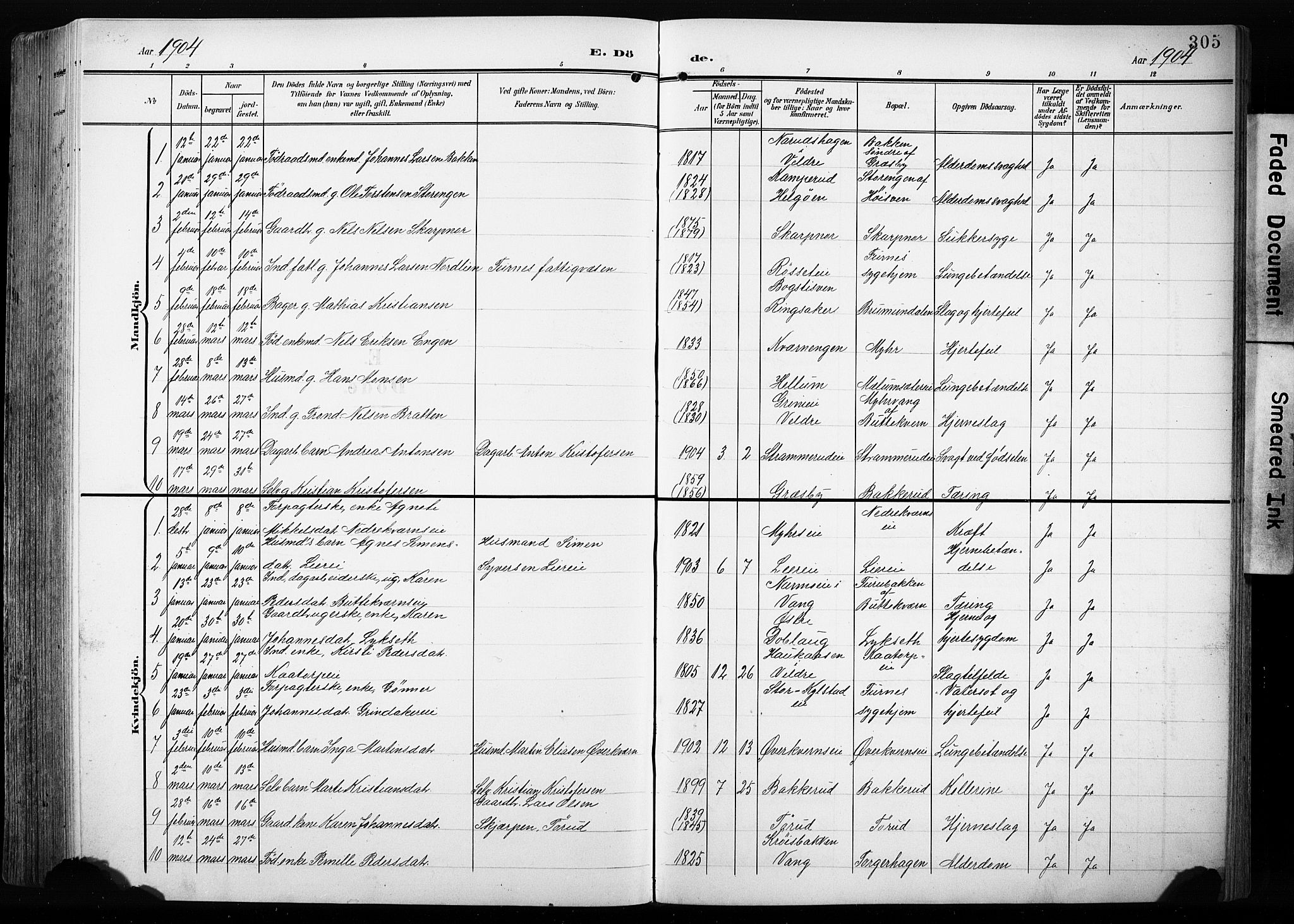 Furnes prestekontor, AV/SAH-PREST-012/L/La/L0001: Parish register (copy) no. 1, 1904-1933, p. 305