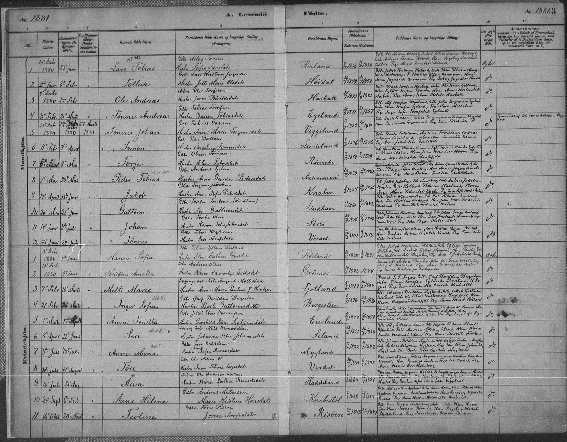 Fjotland sokneprestkontor, AV/SAK-1111-0010/F/Fa/L0002: Parish register (official) no. A 2, 1880-1898, p. 3