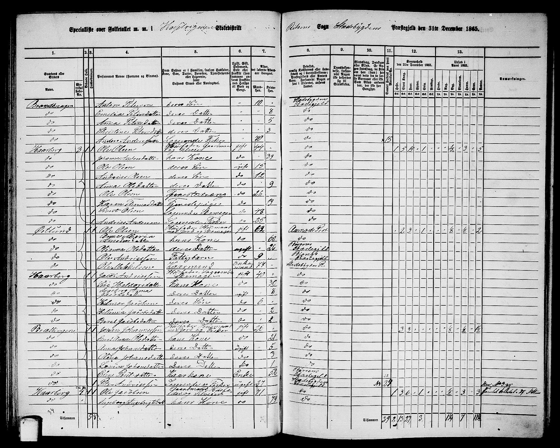 RA, 1865 census for Stadsbygd, 1865, p. 81