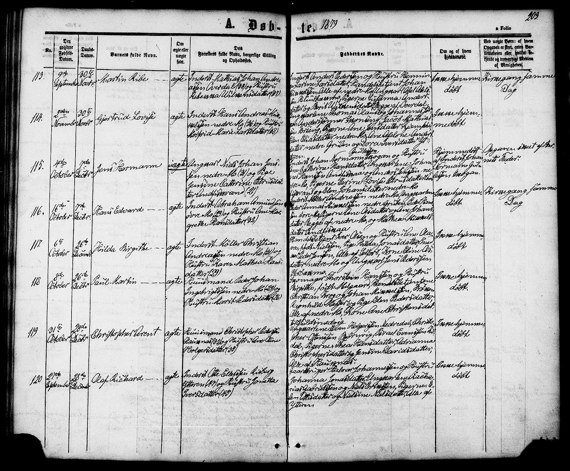 Ministerialprotokoller, klokkerbøker og fødselsregistre - Nordland, SAT/A-1459/827/L0393: Parish register (official) no. 827A05, 1863-1883, p. 203