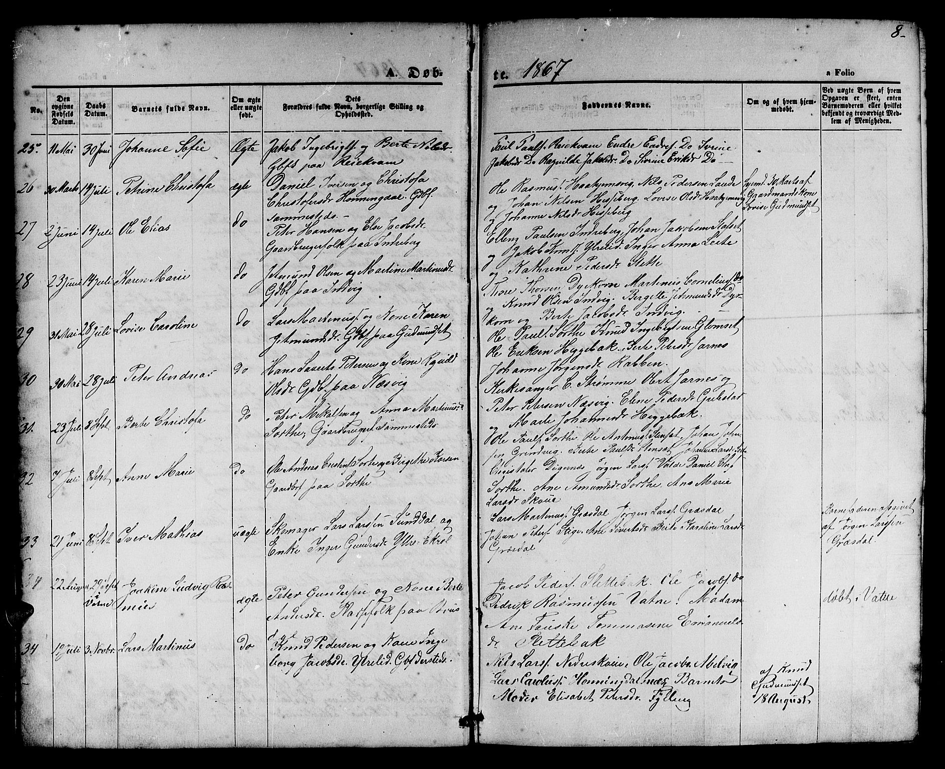 Ministerialprotokoller, klokkerbøker og fødselsregistre - Møre og Romsdal, AV/SAT-A-1454/524/L0364: Parish register (copy) no. 524C05, 1865-1879, p. 8