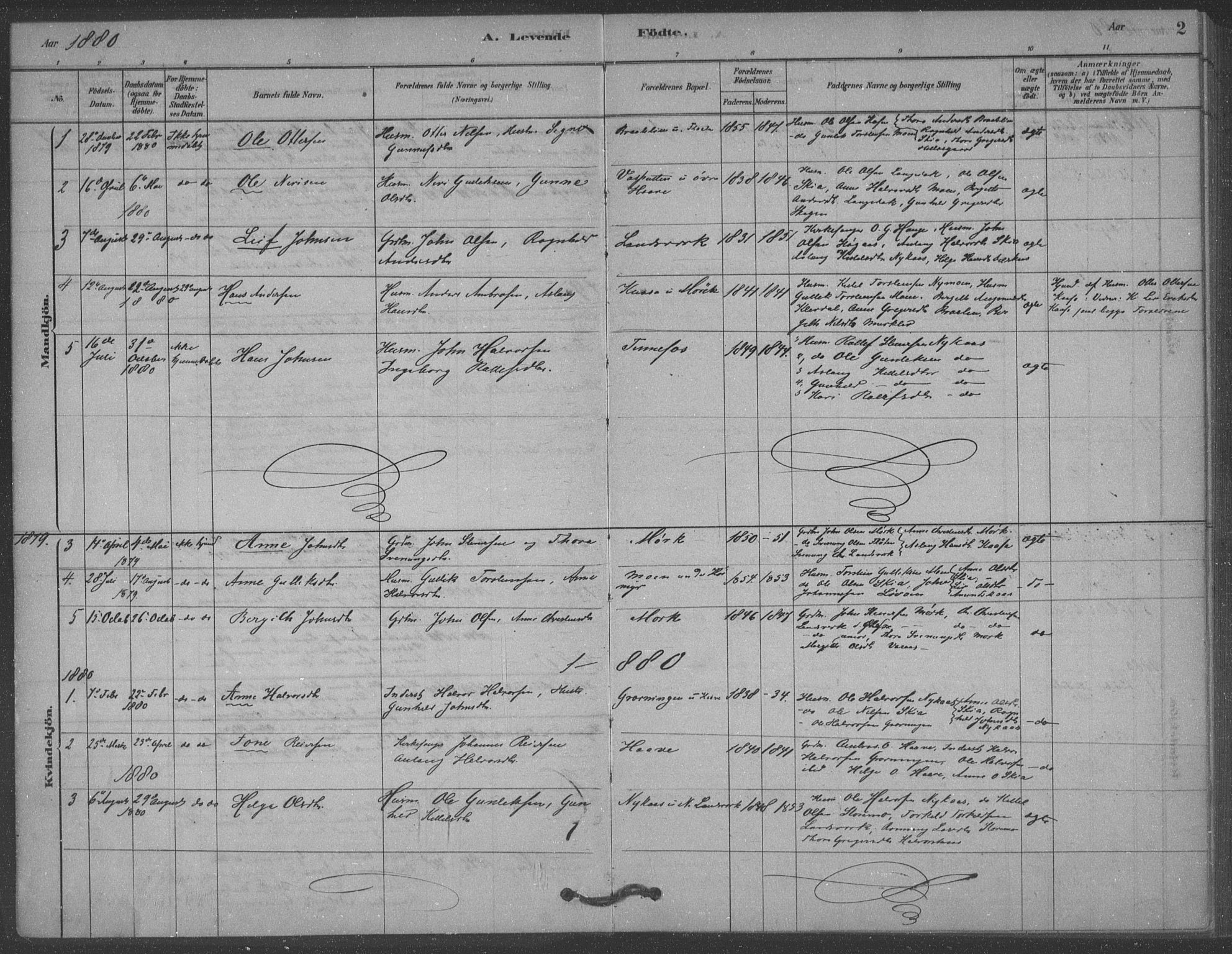 Heddal kirkebøker, SAKO/A-268/F/Fb/L0002: Parish register (official) no. II 2, 1878-1913, p. 2