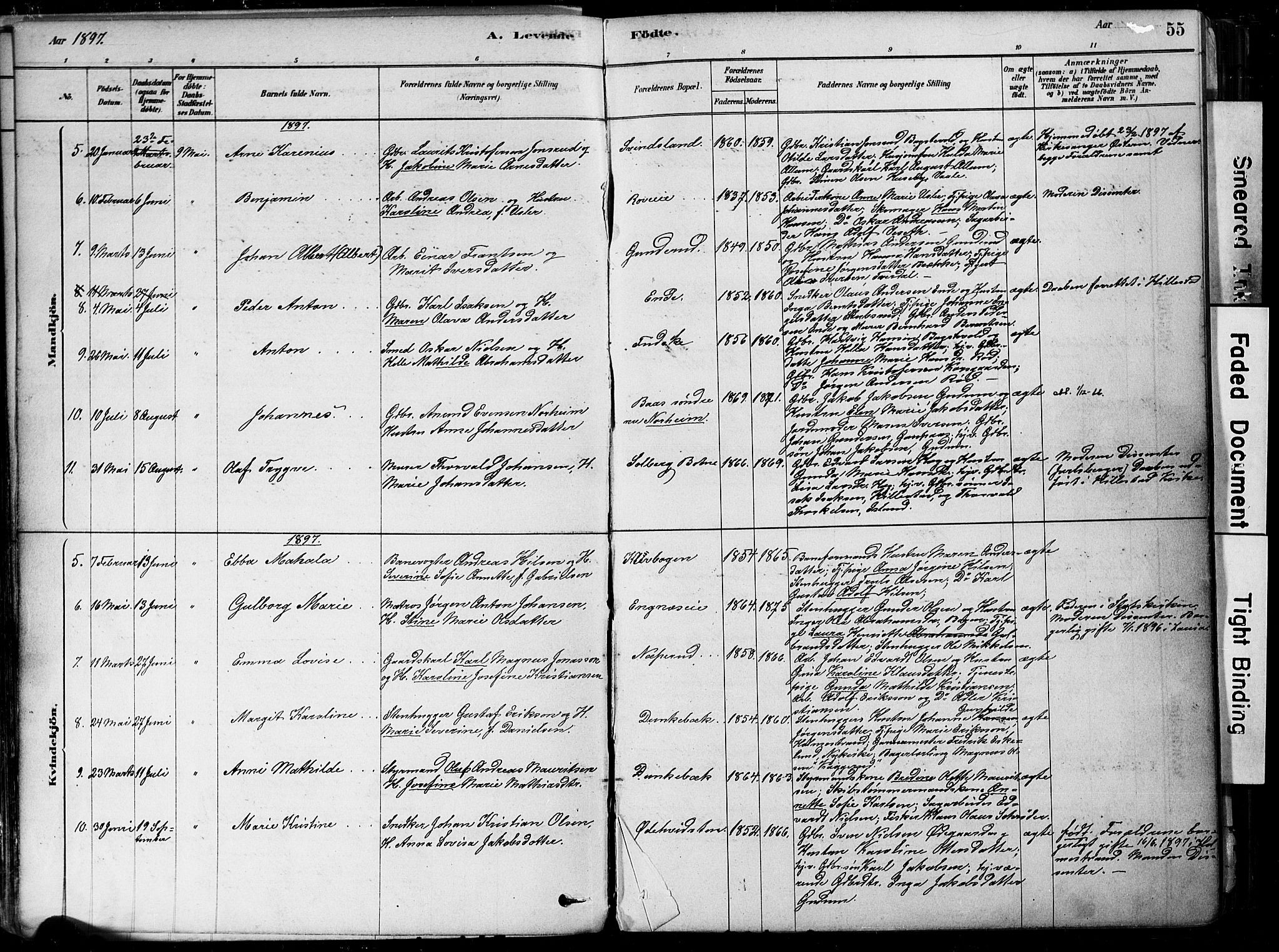 Botne kirkebøker, AV/SAKO-A-340/F/Fa/L0007: Parish register (official) no. I 7, 1878-1910, p. 55