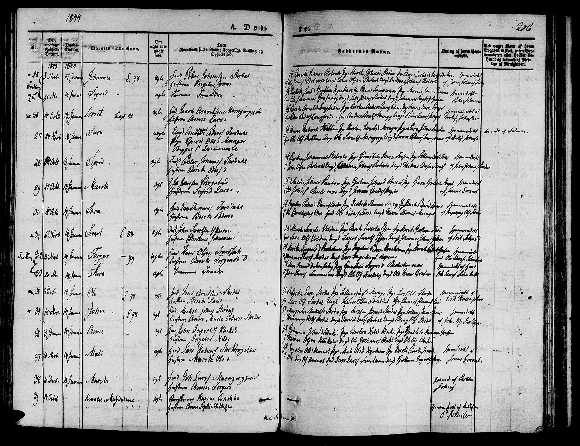 Ministerialprotokoller, klokkerbøker og fødselsregistre - Nord-Trøndelag, SAT/A-1458/709/L0071: Parish register (official) no. 709A11, 1833-1844, p. 206
