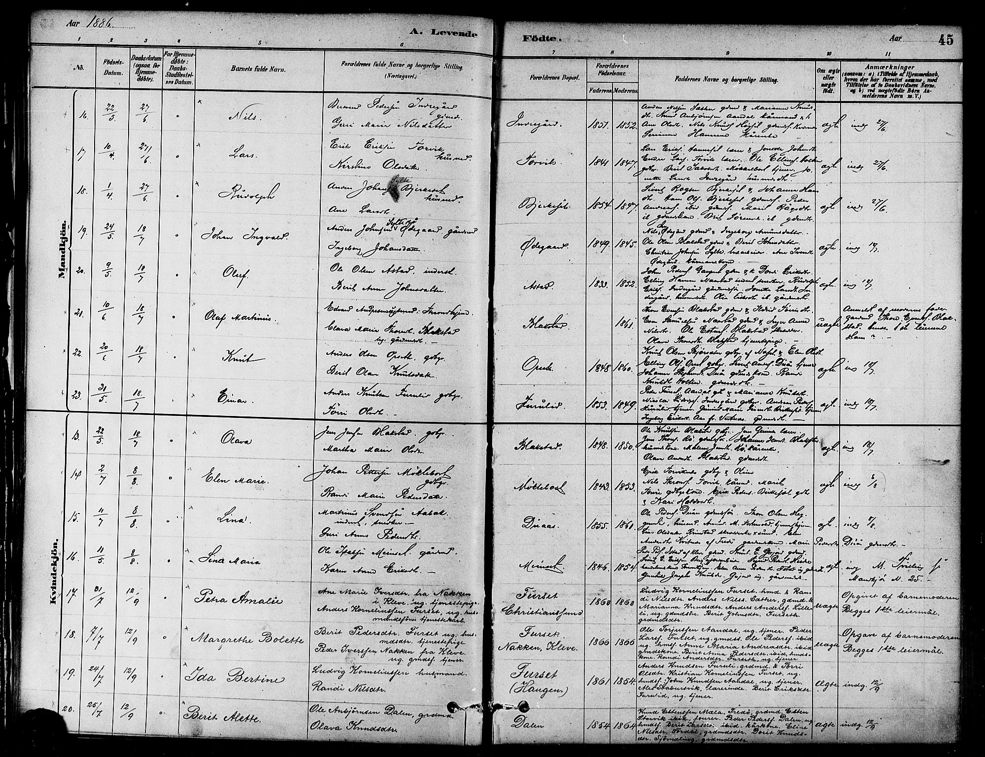 Ministerialprotokoller, klokkerbøker og fødselsregistre - Møre og Romsdal, AV/SAT-A-1454/584/L0967: Parish register (official) no. 584A07, 1879-1894, p. 45