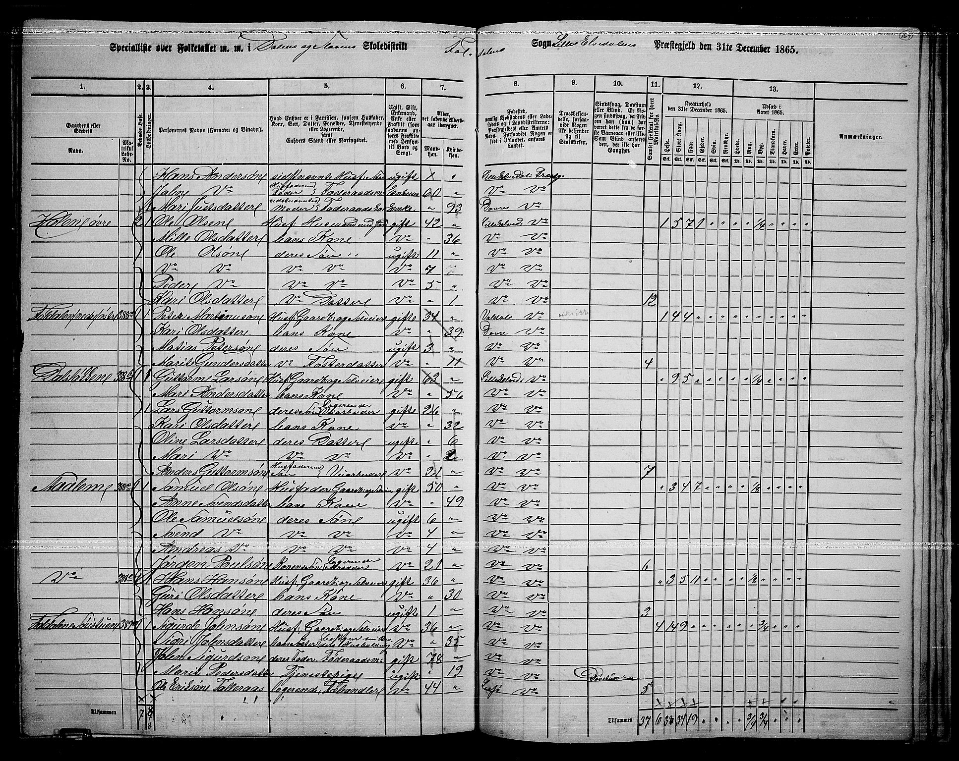 RA, 1865 census for Lille Elvedalen, 1865, p. 139