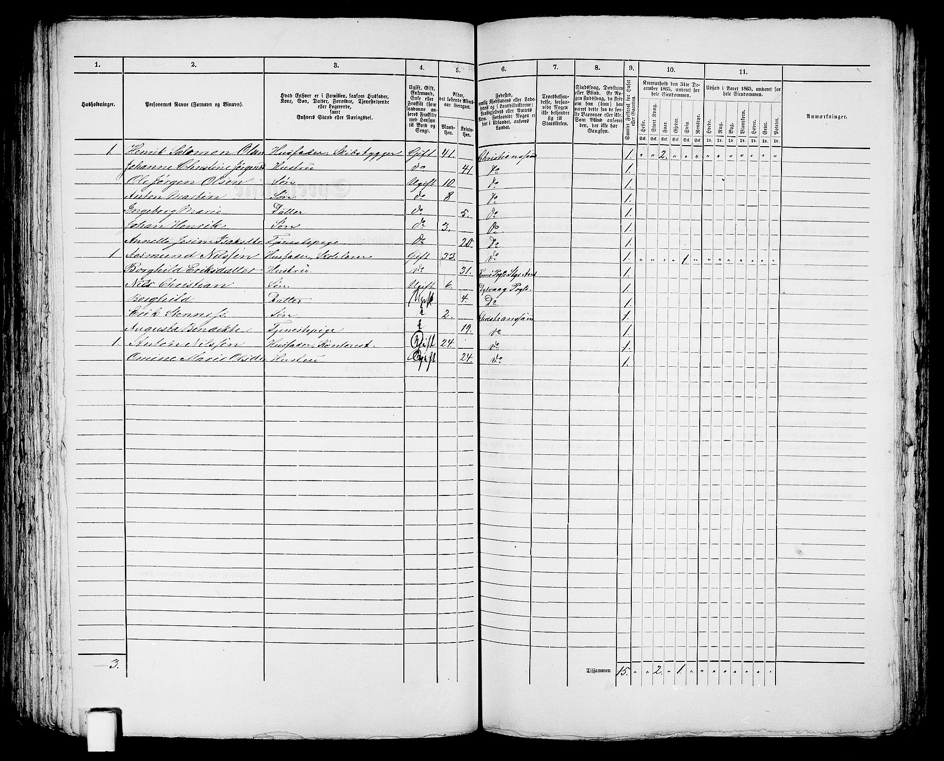 RA, 1865 census for Kristiansand, 1865, p. 1768