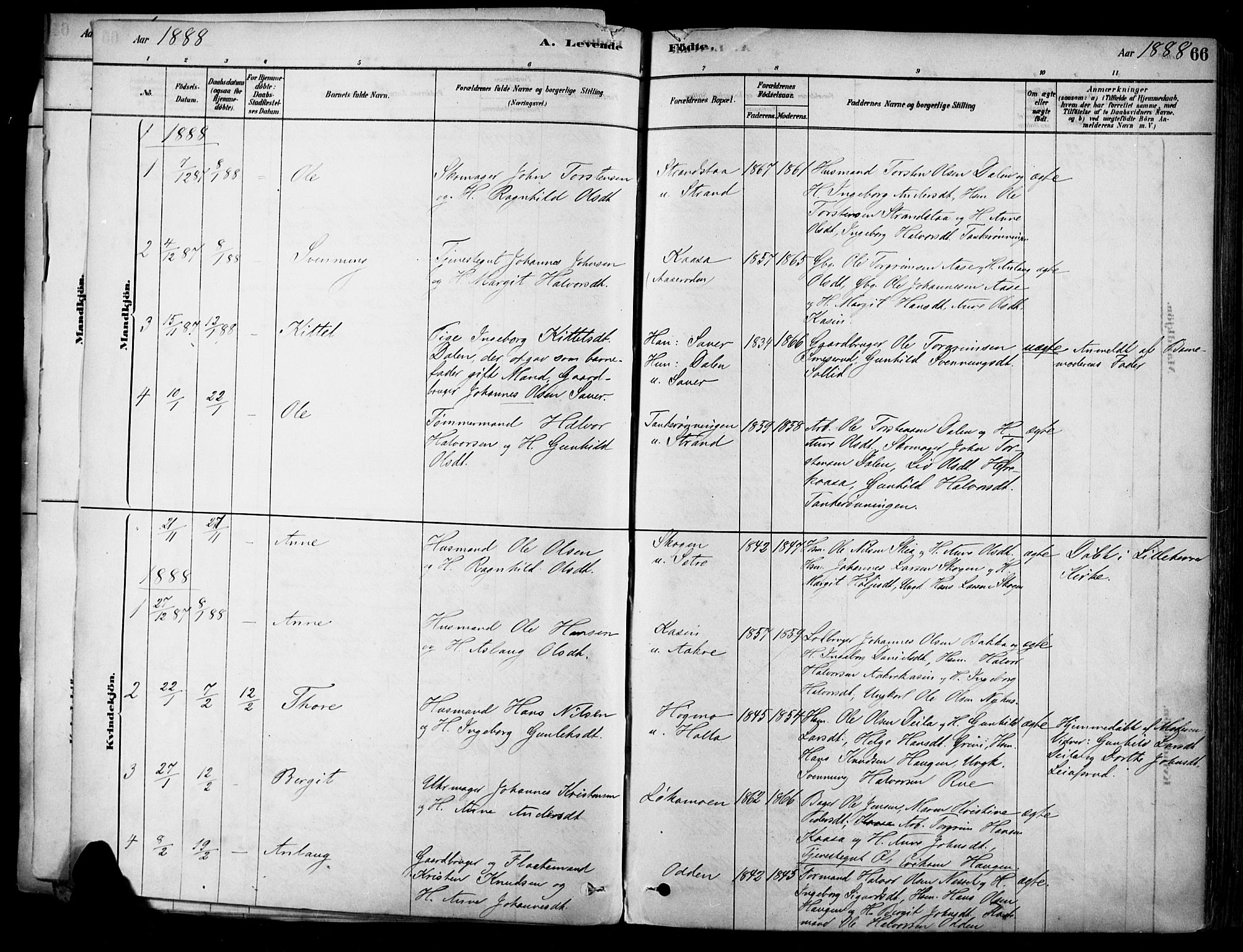 Heddal kirkebøker, SAKO/A-268/F/Fa/L0008: Parish register (official) no. I 8, 1878-1903, p. 66