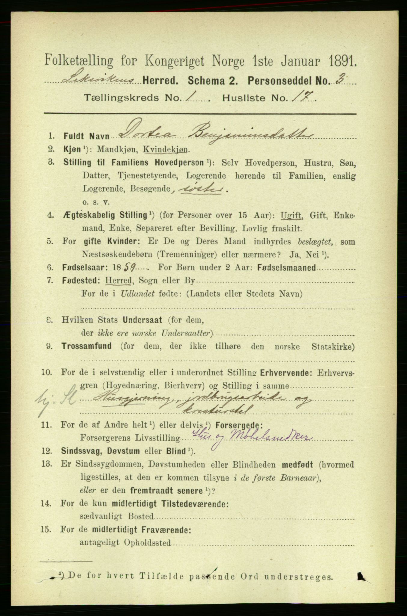 RA, 1891 census for 1718 Leksvik, 1891, p. 217