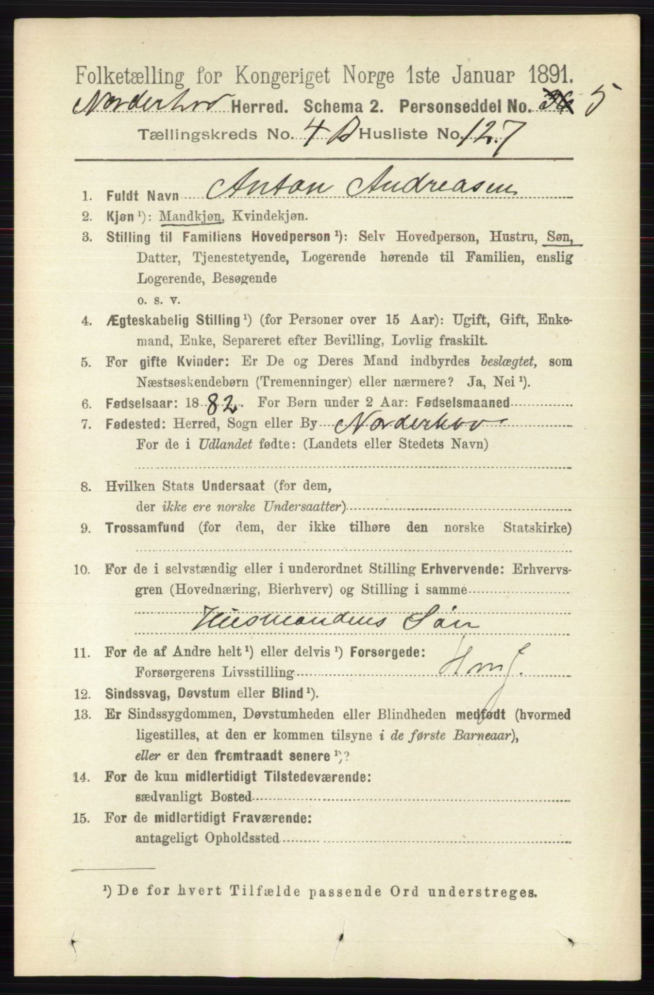 RA, 1891 census for 0613 Norderhov, 1891, p. 3429