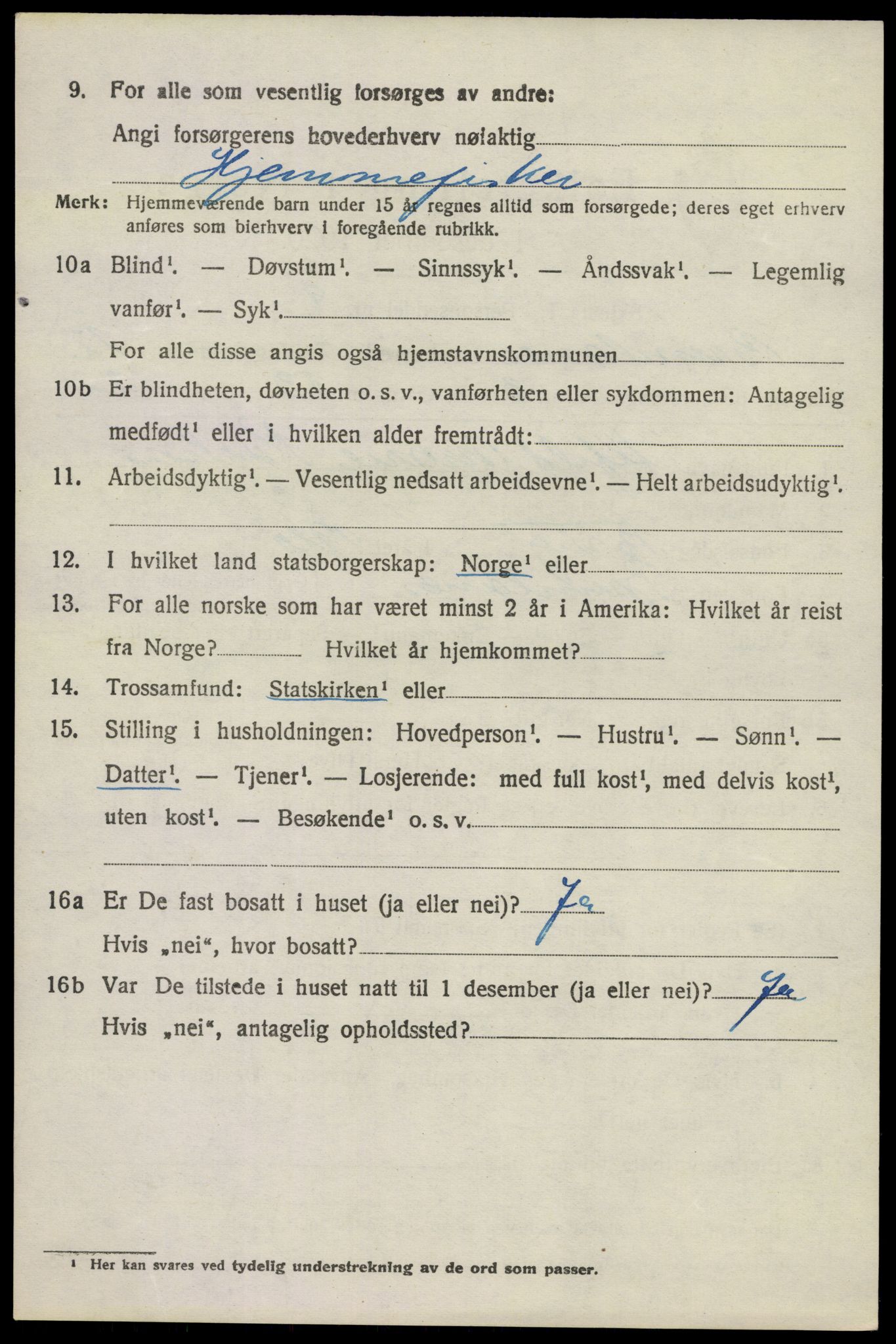 SAKO, 1920 census for Brunlanes, 1920, p. 10536