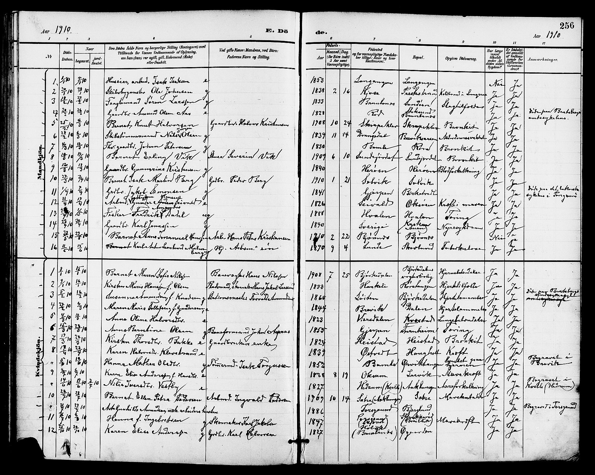 Eidanger kirkebøker, AV/SAKO-A-261/G/Ga/L0003: Parish register (copy) no. 3, 1893-1911, p. 256