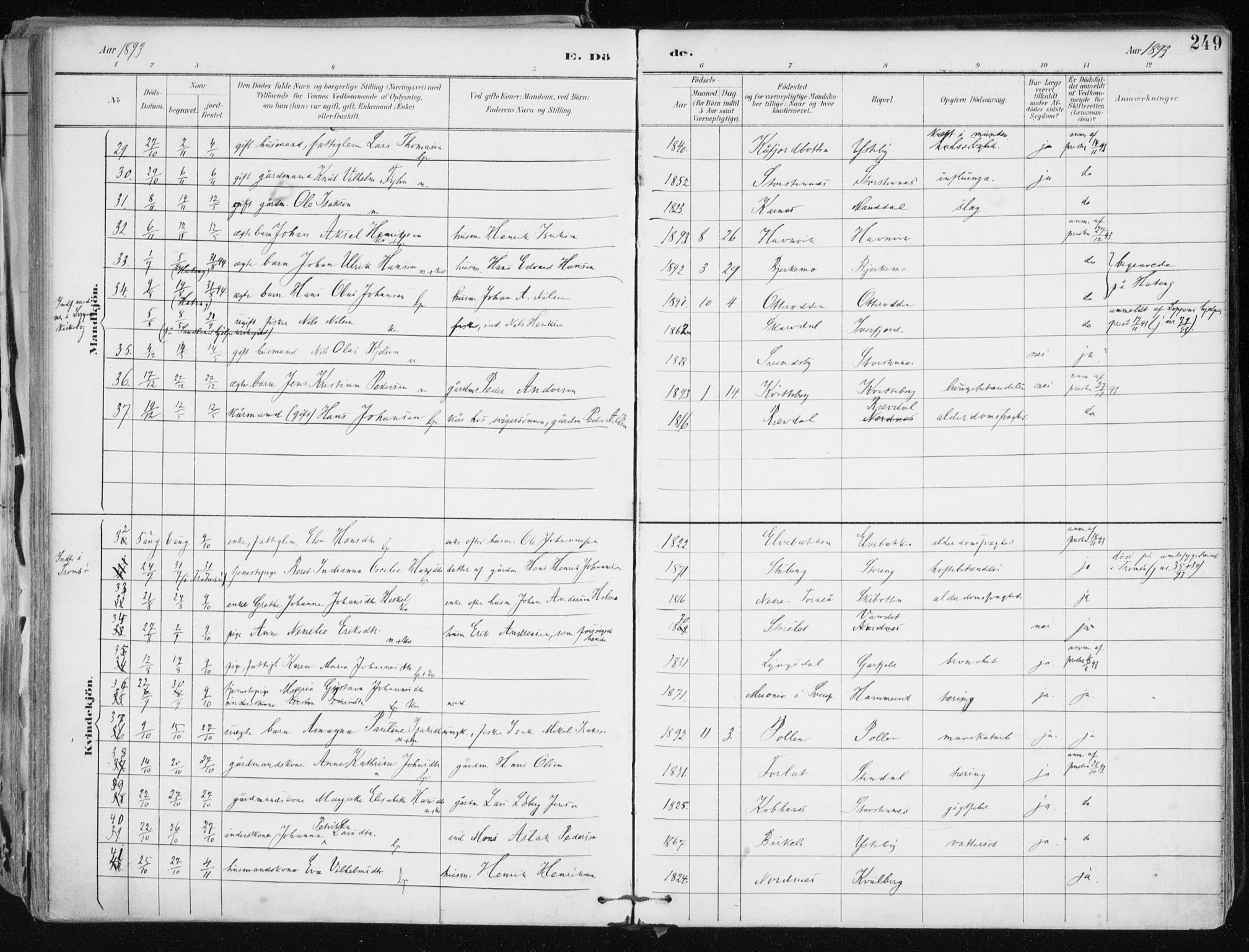 Lyngen sokneprestembete, AV/SATØ-S-1289/H/He/Hea/L0008kirke: Parish register (official) no. 8, 1891-1902, p. 249