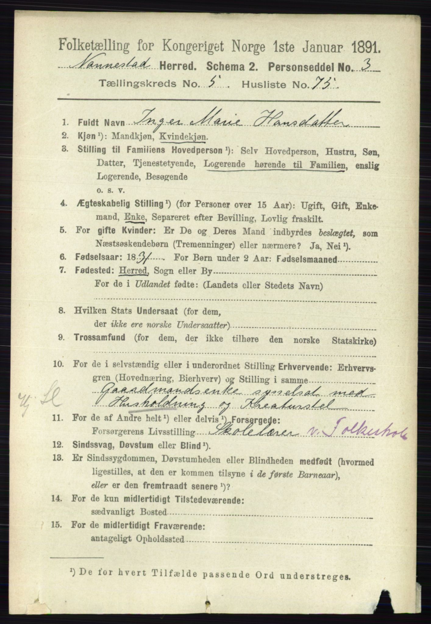 RA, 1891 census for 0238 Nannestad, 1891, p. 2996