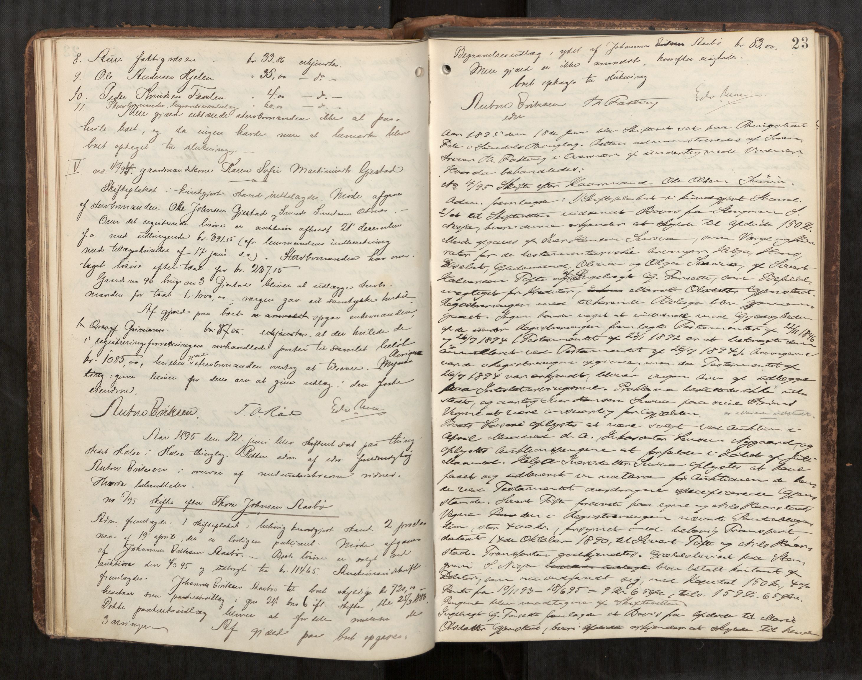 Nordmøre sorenskriveri, AV/SAT-A-4132/1/3/3B/L0006: Forhandlingsprotokoll nr. 06, 1894-1900, p. 23