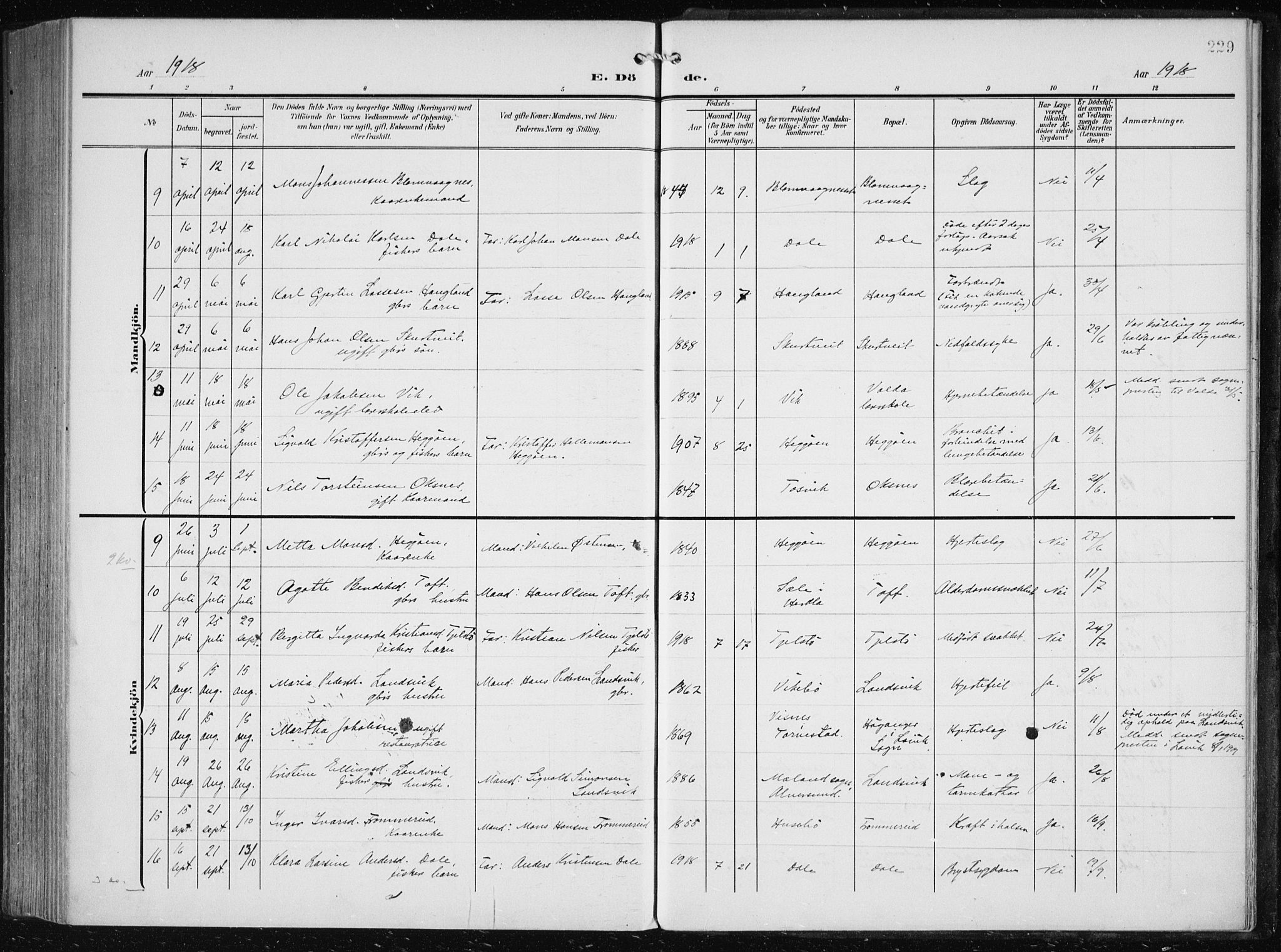 Herdla Sokneprestembete, SAB/A-75701/H/Haa: Parish register (official) no. A 5, 1905-1918, p. 229