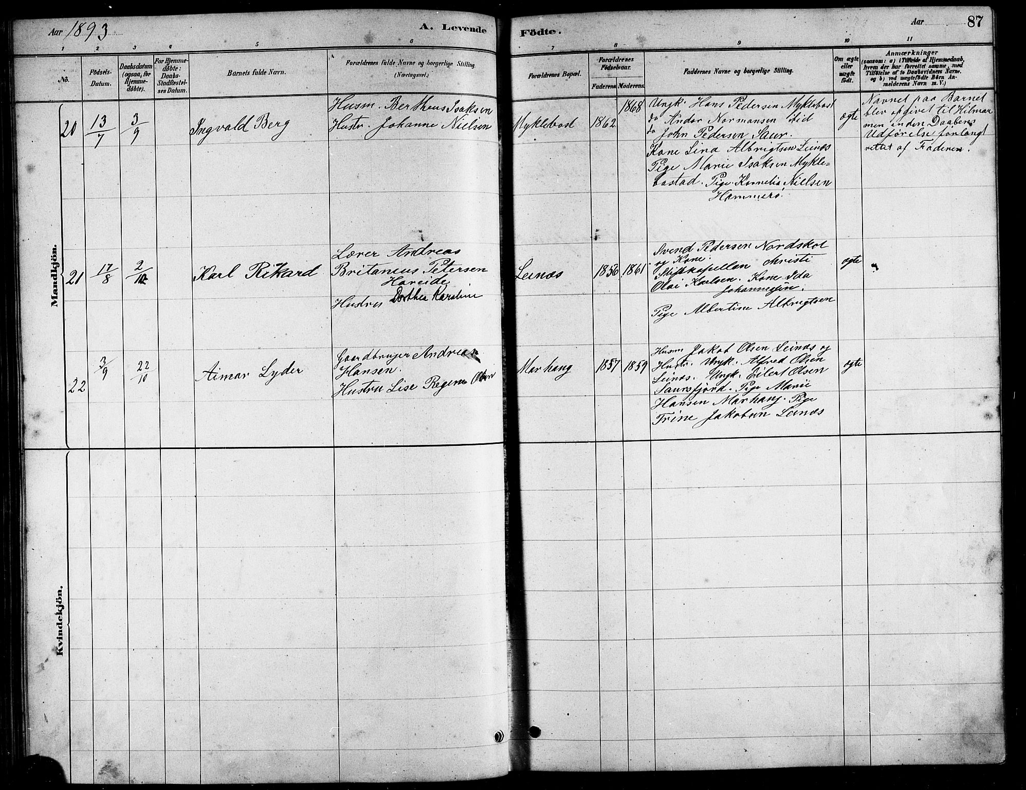 Ministerialprotokoller, klokkerbøker og fødselsregistre - Nordland, AV/SAT-A-1459/857/L0828: Parish register (copy) no. 857C03, 1879-1908, p. 87