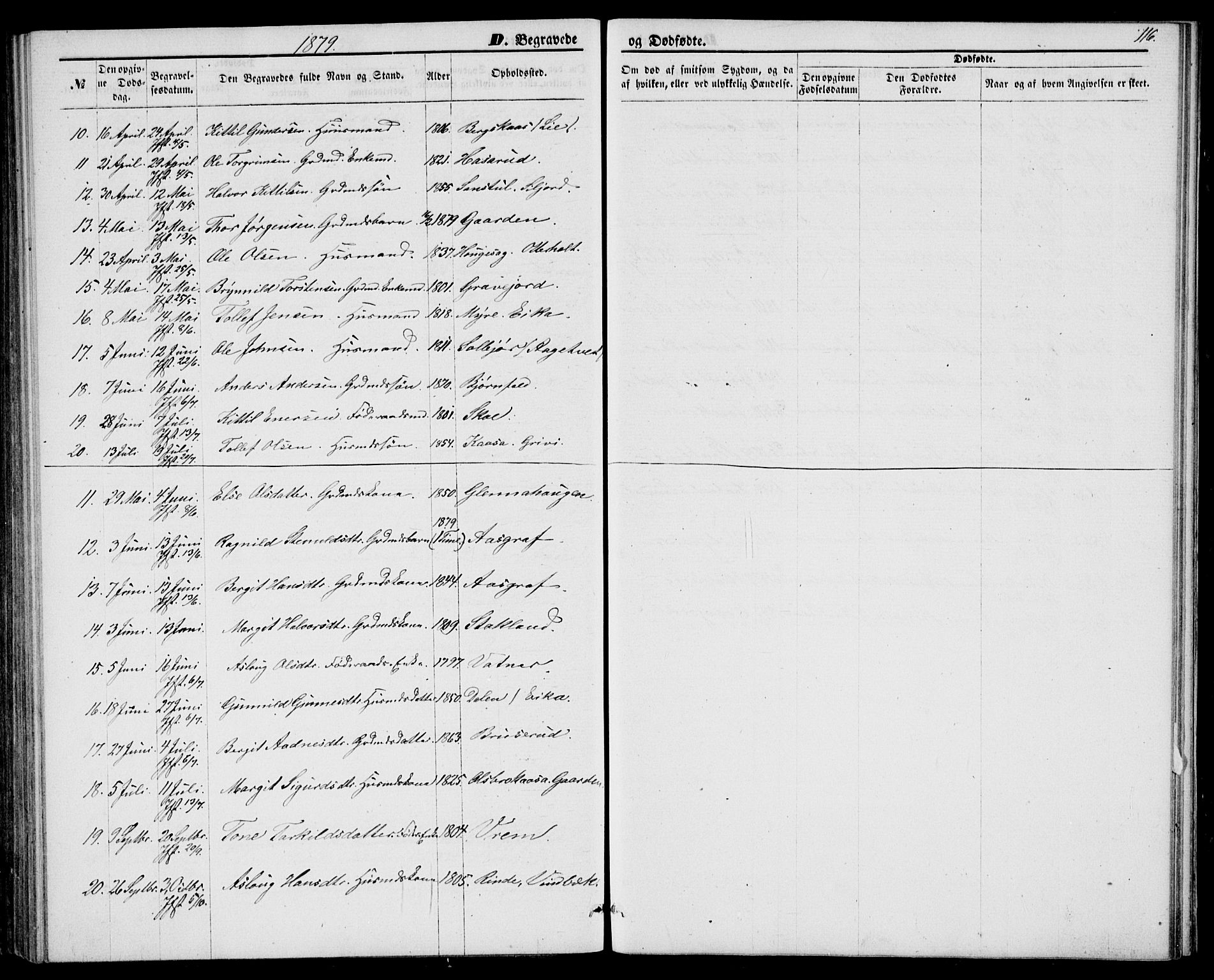 Bø kirkebøker, AV/SAKO-A-257/G/Ga/L0004: Parish register (copy) no. 4, 1876-1882, p. 116