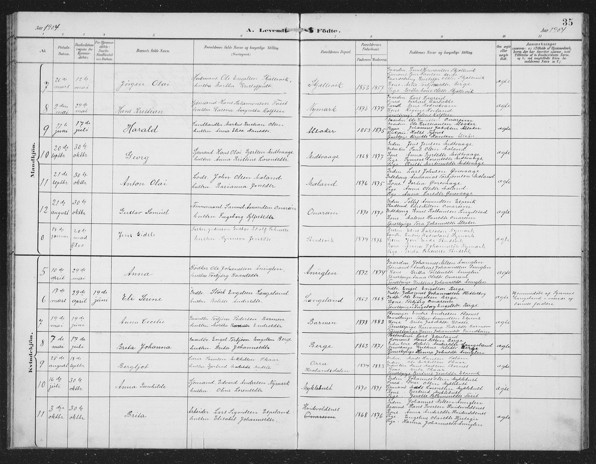 Tysnes sokneprestembete, AV/SAB-A-78601/H/Hab: Parish register (copy) no. C 2, 1896-1907, p. 35