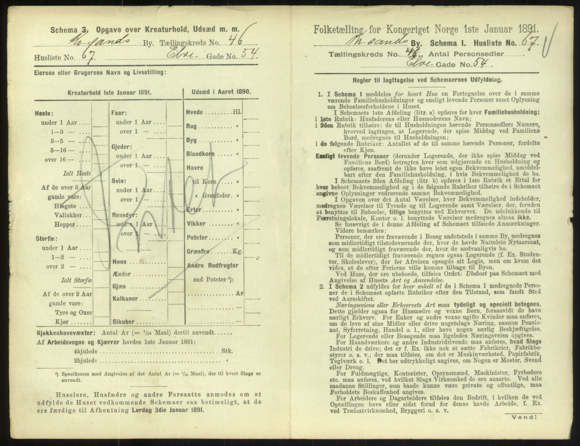 RA, 1891 census for 1001 Kristiansand, 1891, p. 2598