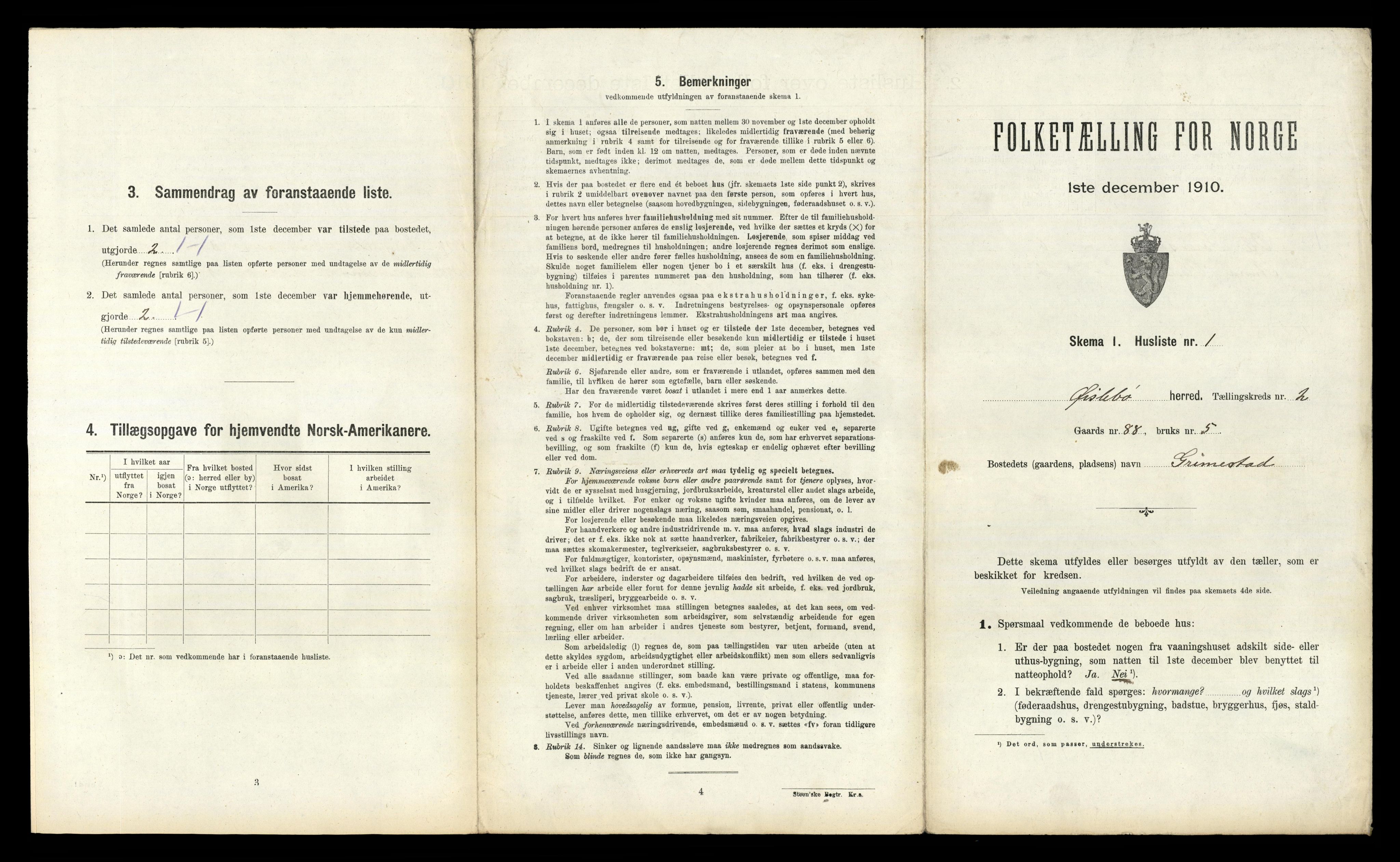 RA, 1910 census for Øyslebø, 1910, p. 196