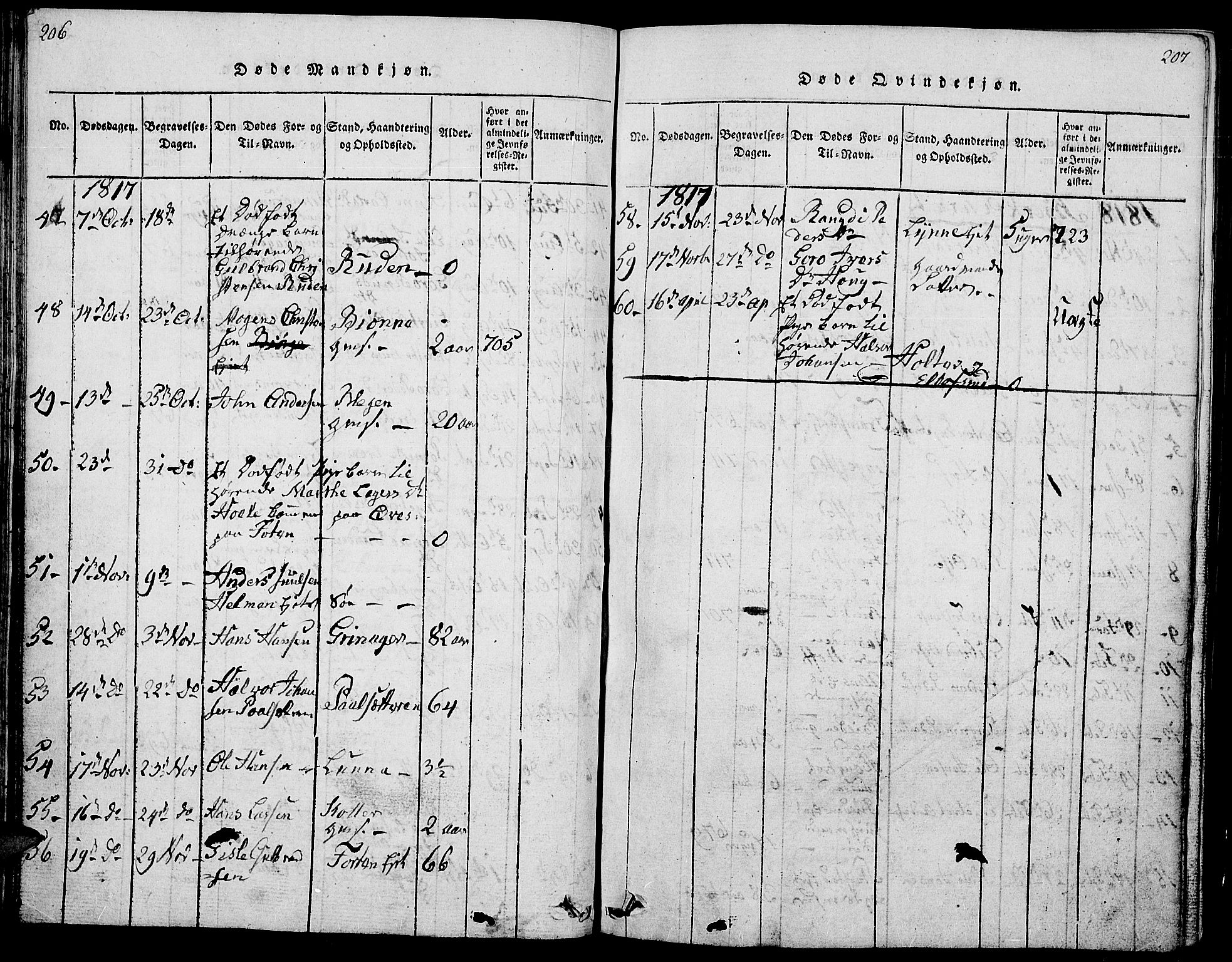Gran prestekontor, SAH/PREST-112/H/Ha/Hab/L0001: Parish register (copy) no. 1, 1815-1824, p. 206-207