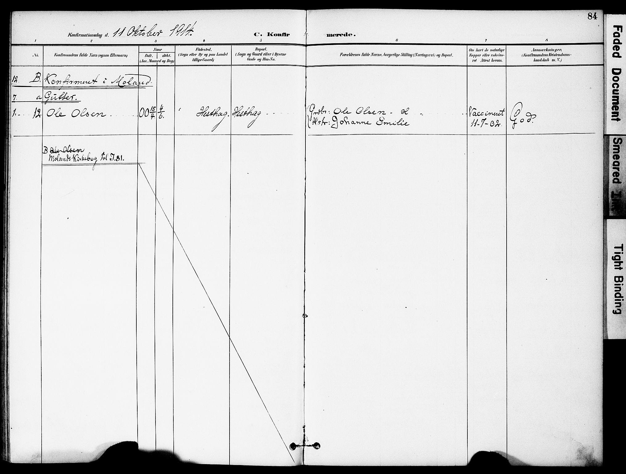 Austre Moland sokneprestkontor, AV/SAK-1111-0001/F/Fa/Fab/L0002: Parish register (official) no. A 2, 1894-1919, p. 84