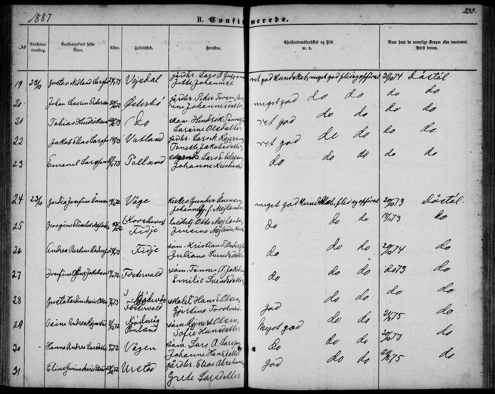 Flekkefjord sokneprestkontor, AV/SAK-1111-0012/F/Fb/Fbb/L0003: Parish register (copy) no. B 3, 1867-1889, p. 233