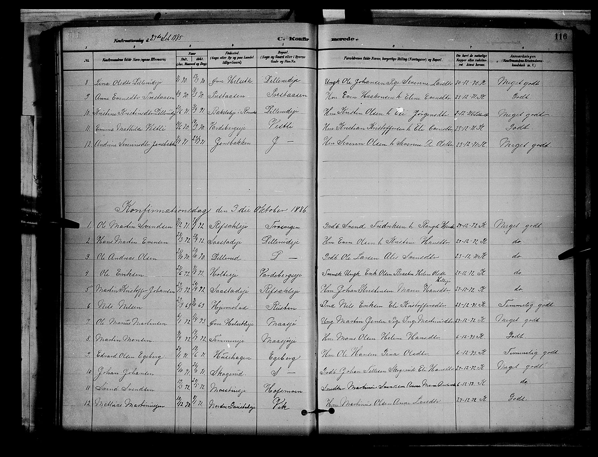 Stange prestekontor, SAH/PREST-002/L/L0008: Parish register (copy) no. 8, 1882-1895, p. 116