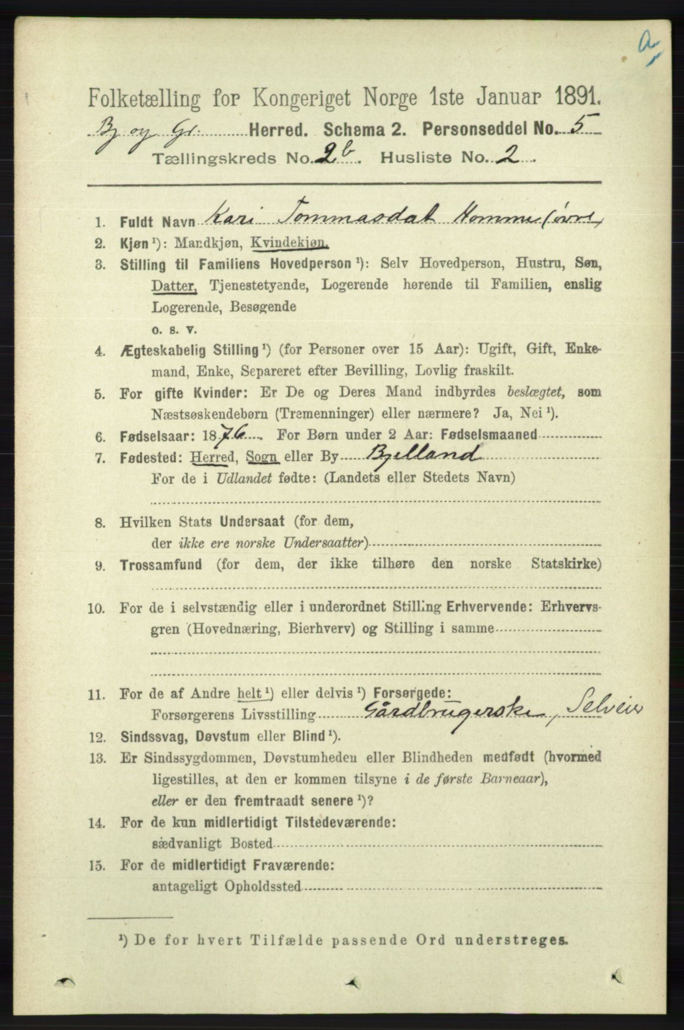 RA, 1891 census for 1024 Bjelland og Grindheim, 1891, p. 1138