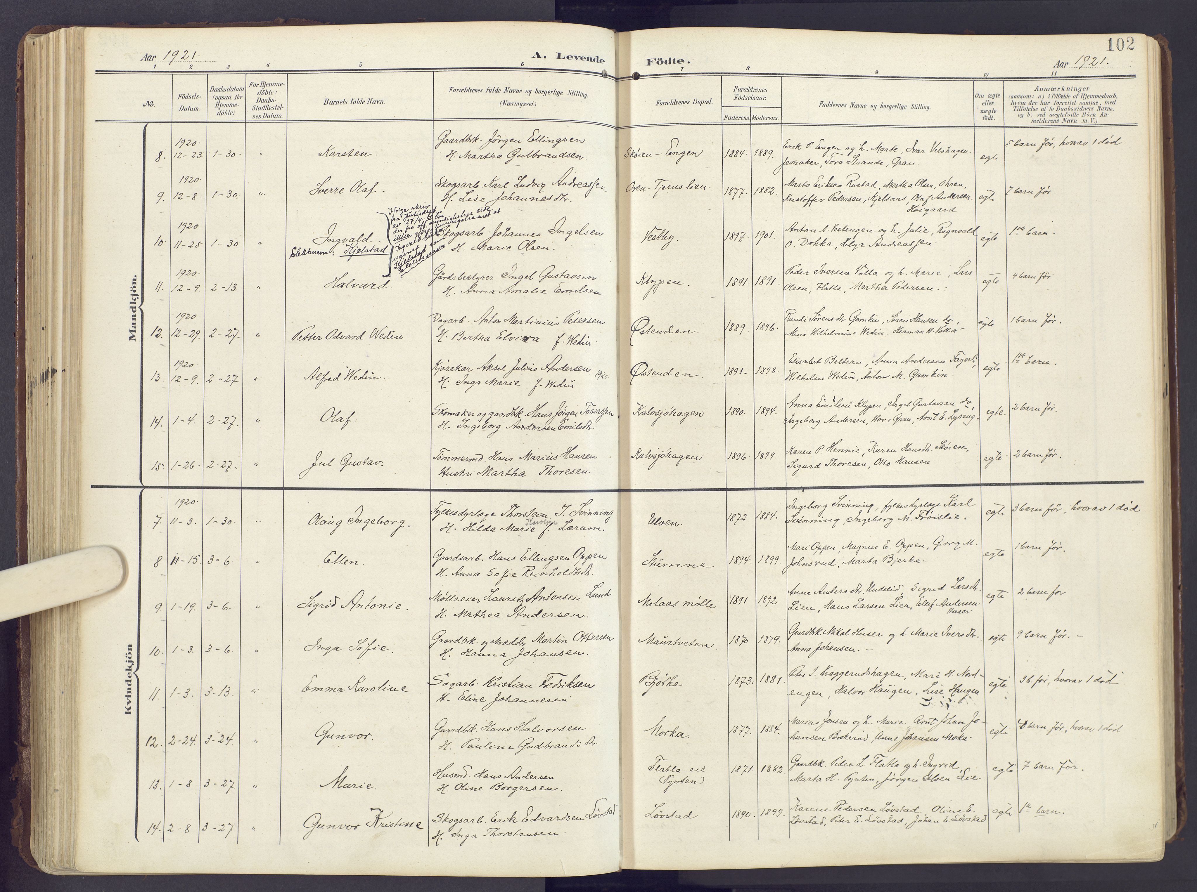 Lunner prestekontor, SAH/PREST-118/H/Ha/Haa/L0001: Parish register (official) no. 1, 1907-1922, p. 102