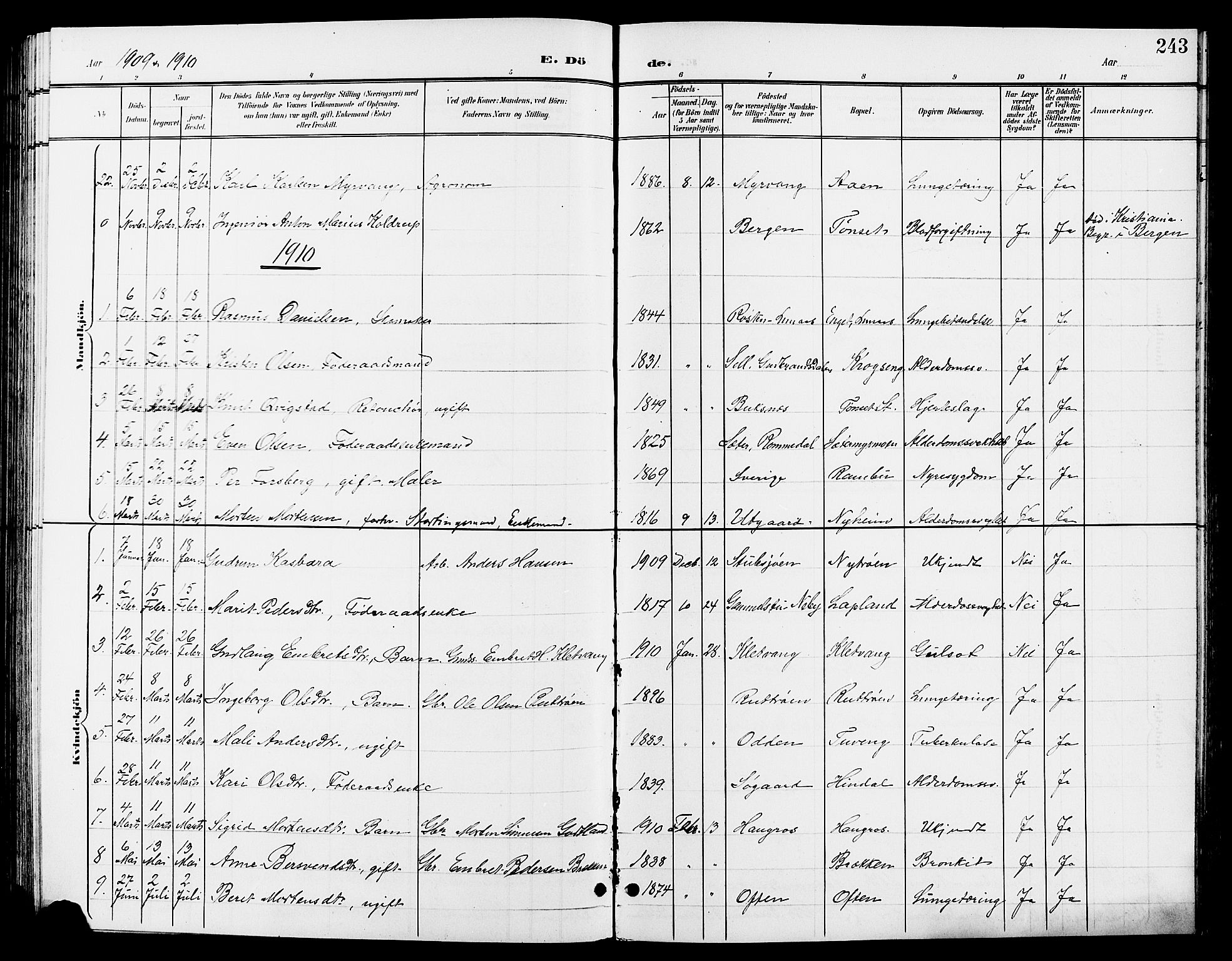 Tynset prestekontor, AV/SAH-PREST-058/H/Ha/Hab/L0009: Parish register (copy) no. 9, 1900-1914, p. 243