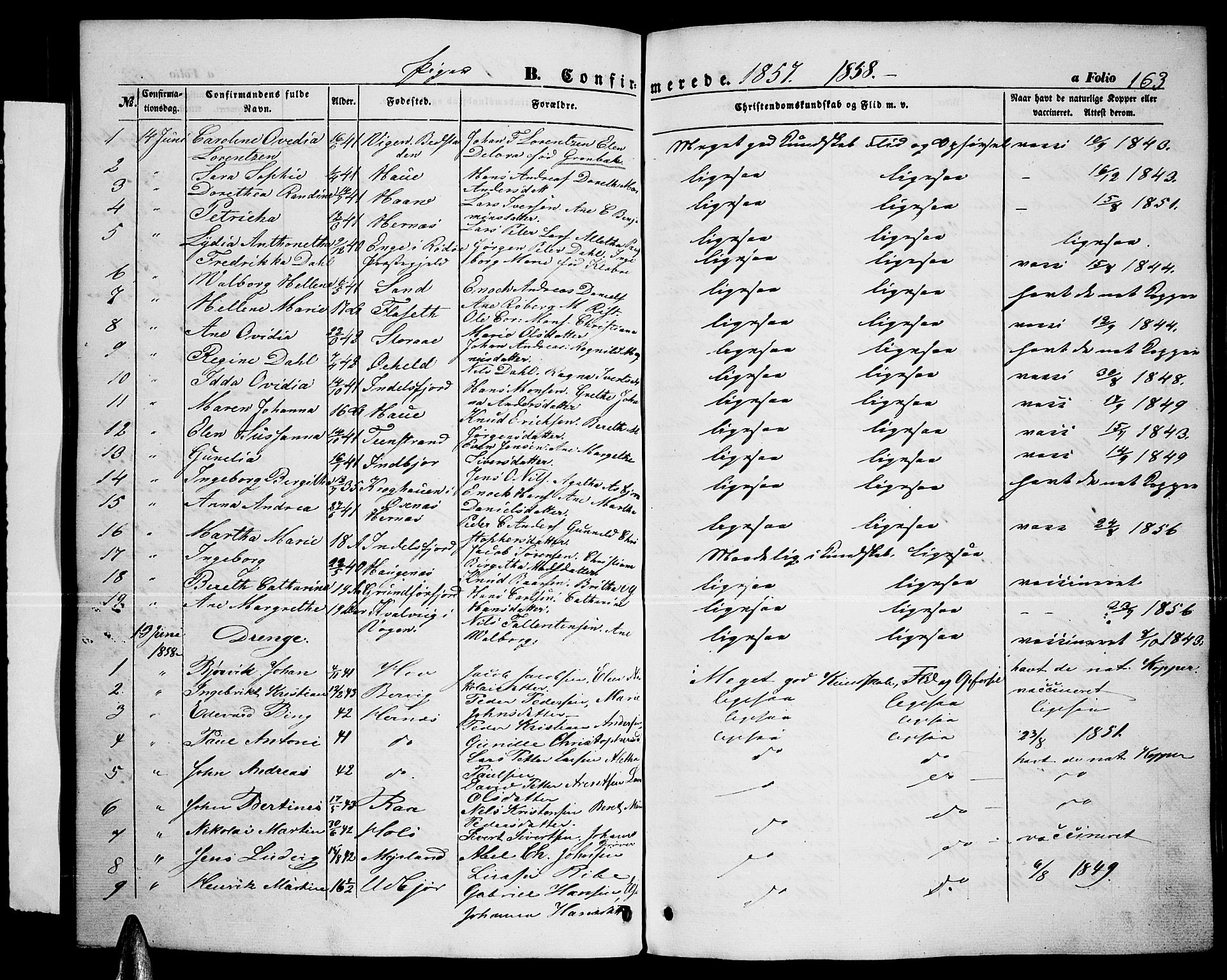 Ministerialprotokoller, klokkerbøker og fødselsregistre - Nordland, AV/SAT-A-1459/888/L1265: Parish register (copy) no. 888C03, 1850-1863, p. 163