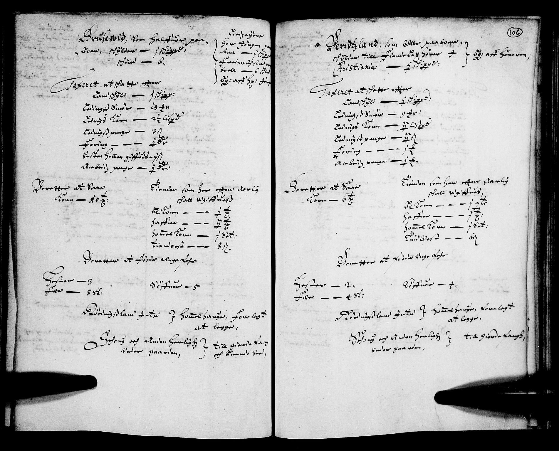 Rentekammeret inntil 1814, Realistisk ordnet avdeling, AV/RA-EA-4070/N/Nb/Nba/L0004: Tune, Veme, Åbygge og Hvaler, 1. del, 1667, p. 105b-106a