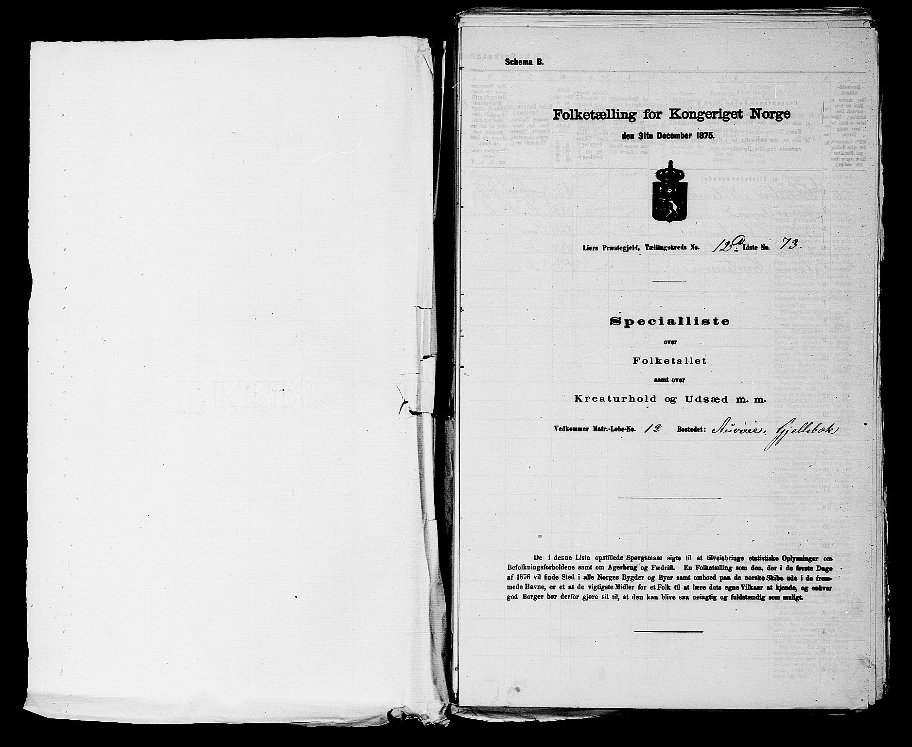 SAKO, 1875 census for 0626P Lier, 1875, p. 1955