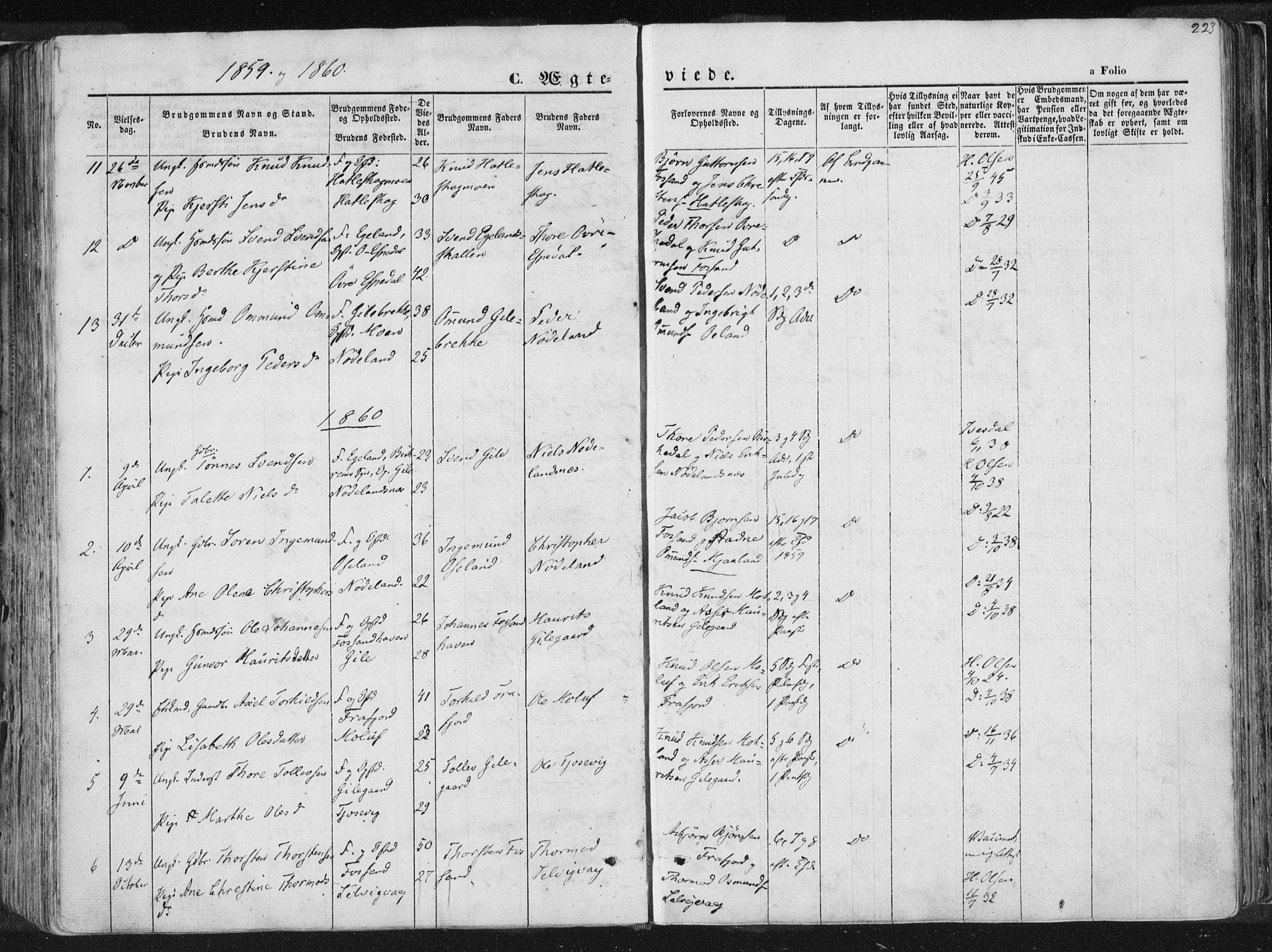 Høgsfjord sokneprestkontor, AV/SAST-A-101624/H/Ha/Haa/L0001: Parish register (official) no. A 1, 1854-1875, p. 223