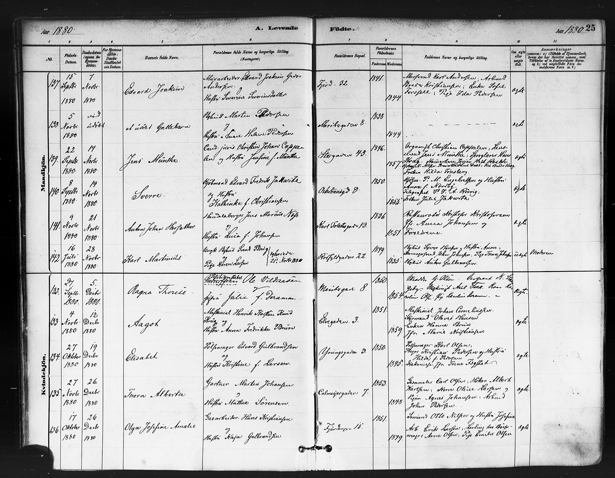 Jakob prestekontor Kirkebøker, AV/SAO-A-10850/F/Fa/L0003: Parish register (official) no. 3, 1880-1895, p. 25