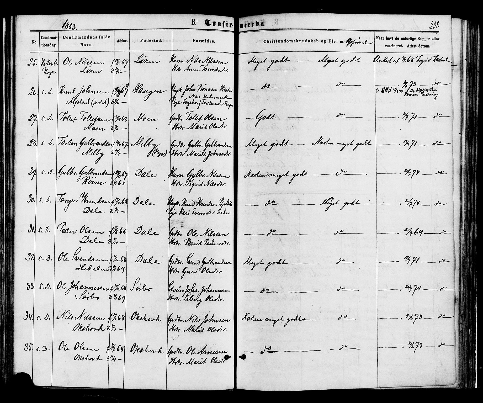 Øystre Slidre prestekontor, SAH/PREST-138/H/Ha/Haa/L0002: Parish register (official) no. 2, 1874-1886, p. 238