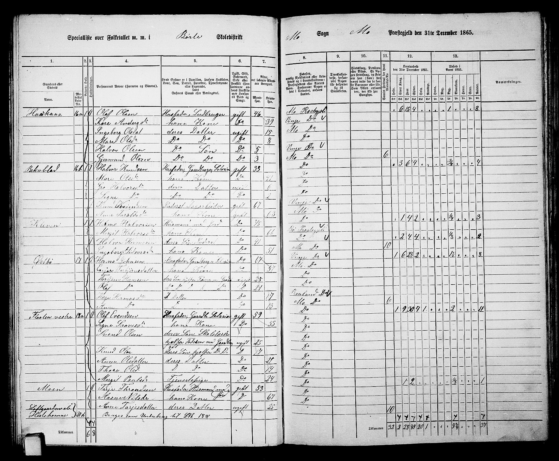 RA, 1865 census for Mo, 1865, p. 40