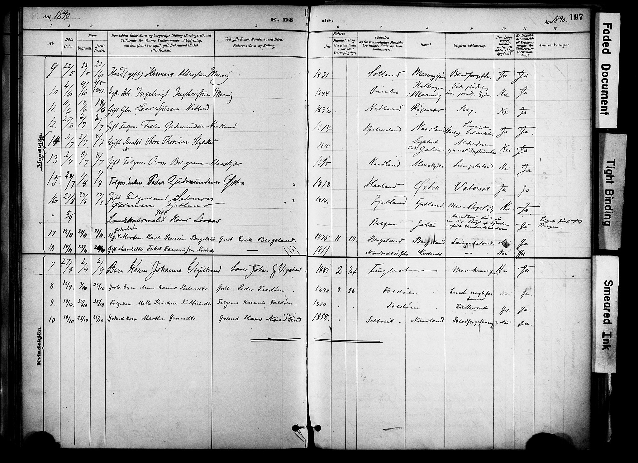 Jelsa sokneprestkontor, AV/SAST-A-101842/01/IV: Parish register (official) no. A 10, 1884-1906, p. 197