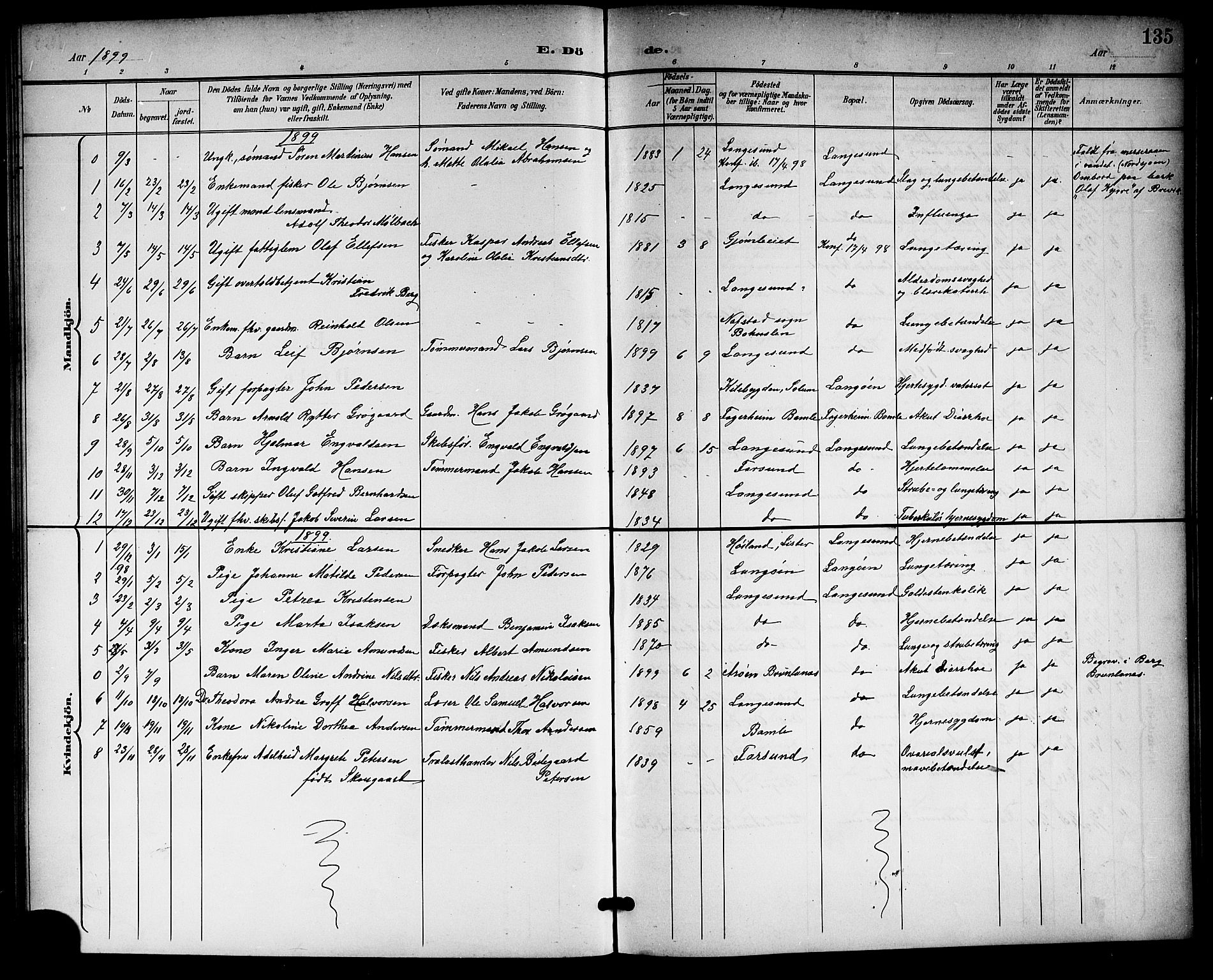 Langesund kirkebøker, SAKO/A-280/G/Ga/L0006: Parish register (copy) no. 6, 1899-1918, p. 135