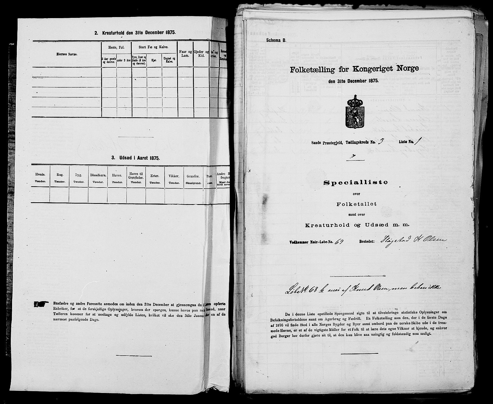 SAST, 1875 census for 1136P Sand, 1875, p. 1009