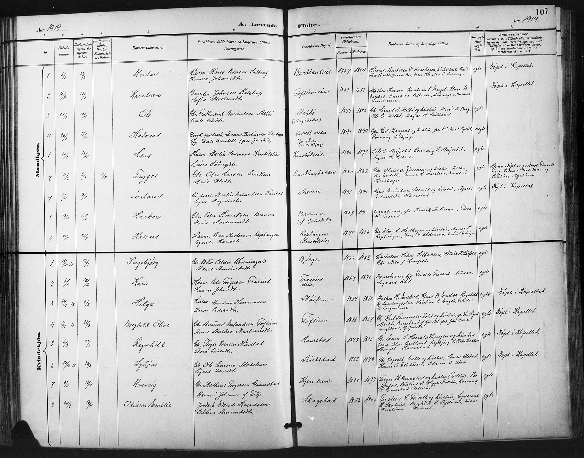 Vestre Gausdal prestekontor, SAH/PREST-094/H/Ha/Hab/L0003: Parish register (copy) no. 3, 1896-1925, p. 107