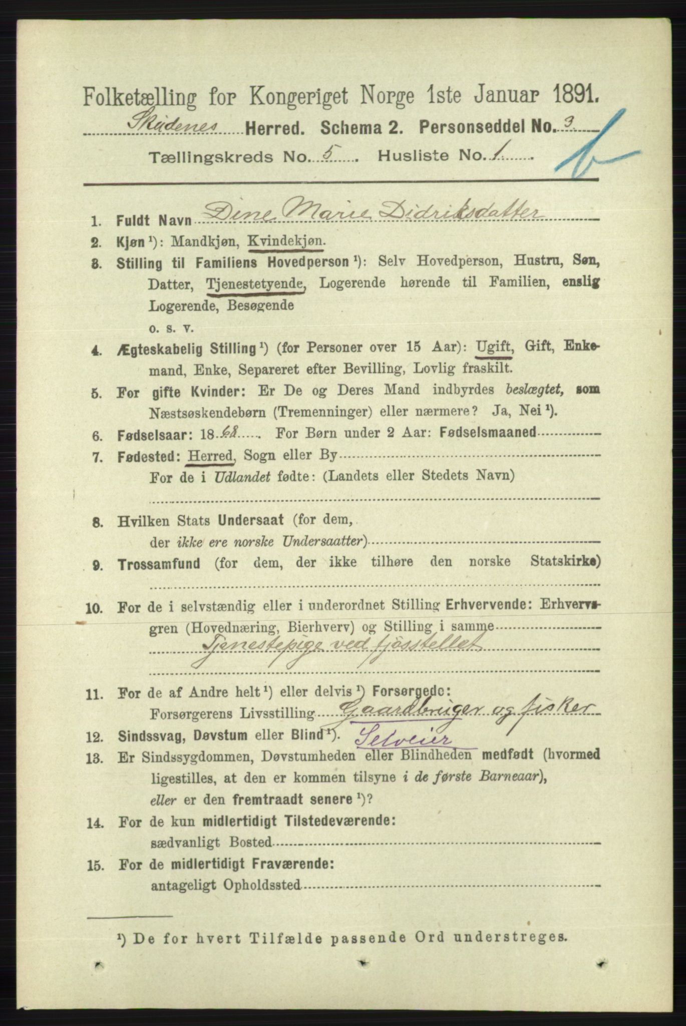 RA, 1891 census for 1150 Skudenes, 1891, p. 5233